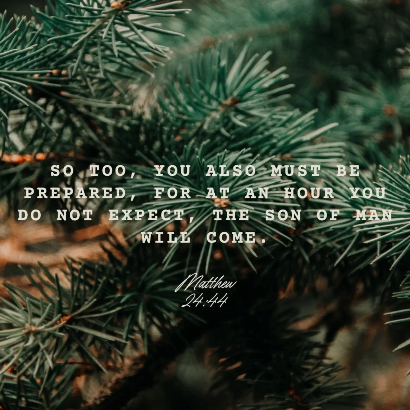 Midweek Reflection 🙏

Jesus said to his disciples: &quot;As it was in the days of Noah,
so it will be at the coming of the Son of Man. In those days before the flood, they were eating and drinking,
marrying and giving in marriage, up to the day that