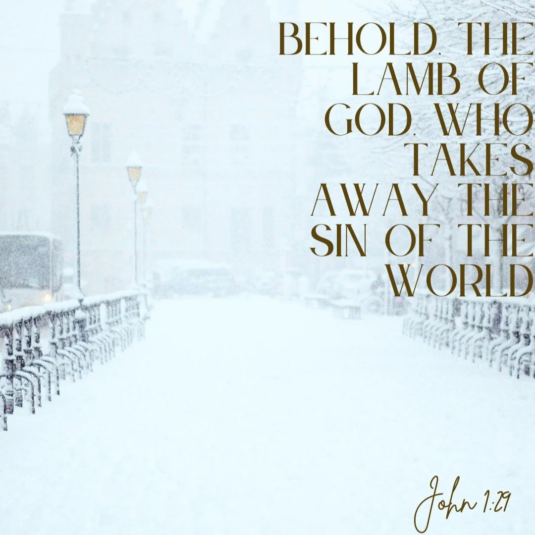Midweek Reflection 🙏🏻

John the Baptist saw Jesus coming toward him and said, &ldquo;Behold, the Lamb of God, who takes away the sin of the world.
He is the one of whom I said, &lsquo;A man is coming after me who ranks ahead of me
because he existe