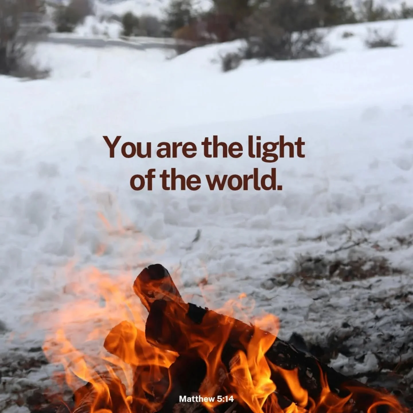 Midweek Reflection 🙏 

Jesus said to his disciples: "You are the salt of the earth.
But if salt loses its taste, with what can it be seasoned?
It is no longer good for anything but to be thrown out and trampled underfoot. You are the light of t