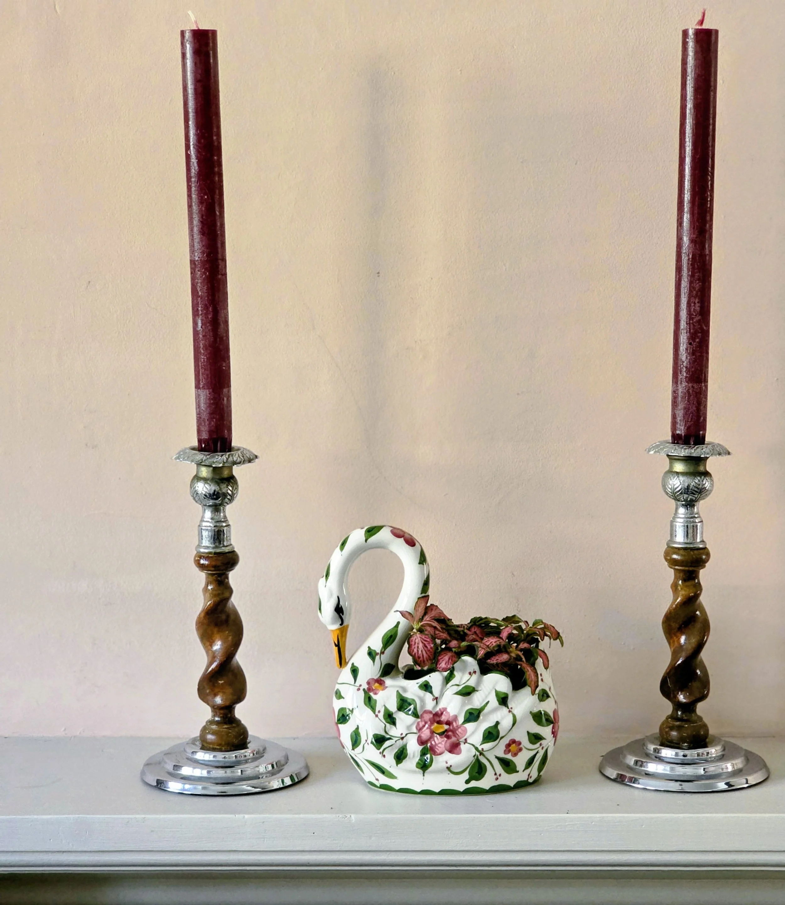 john jenkins swan (6).jpg