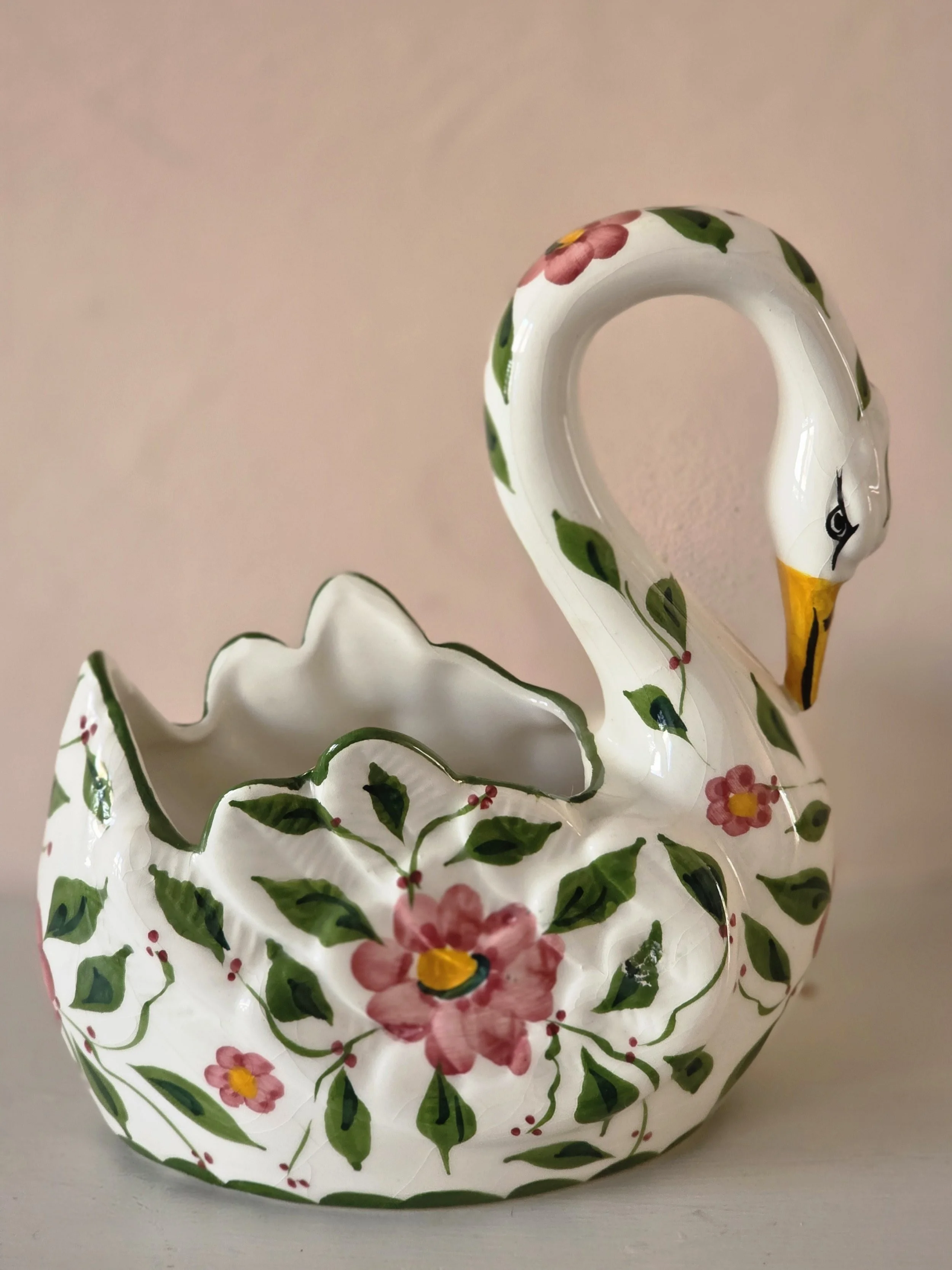 john jenkins swan (9).jpg