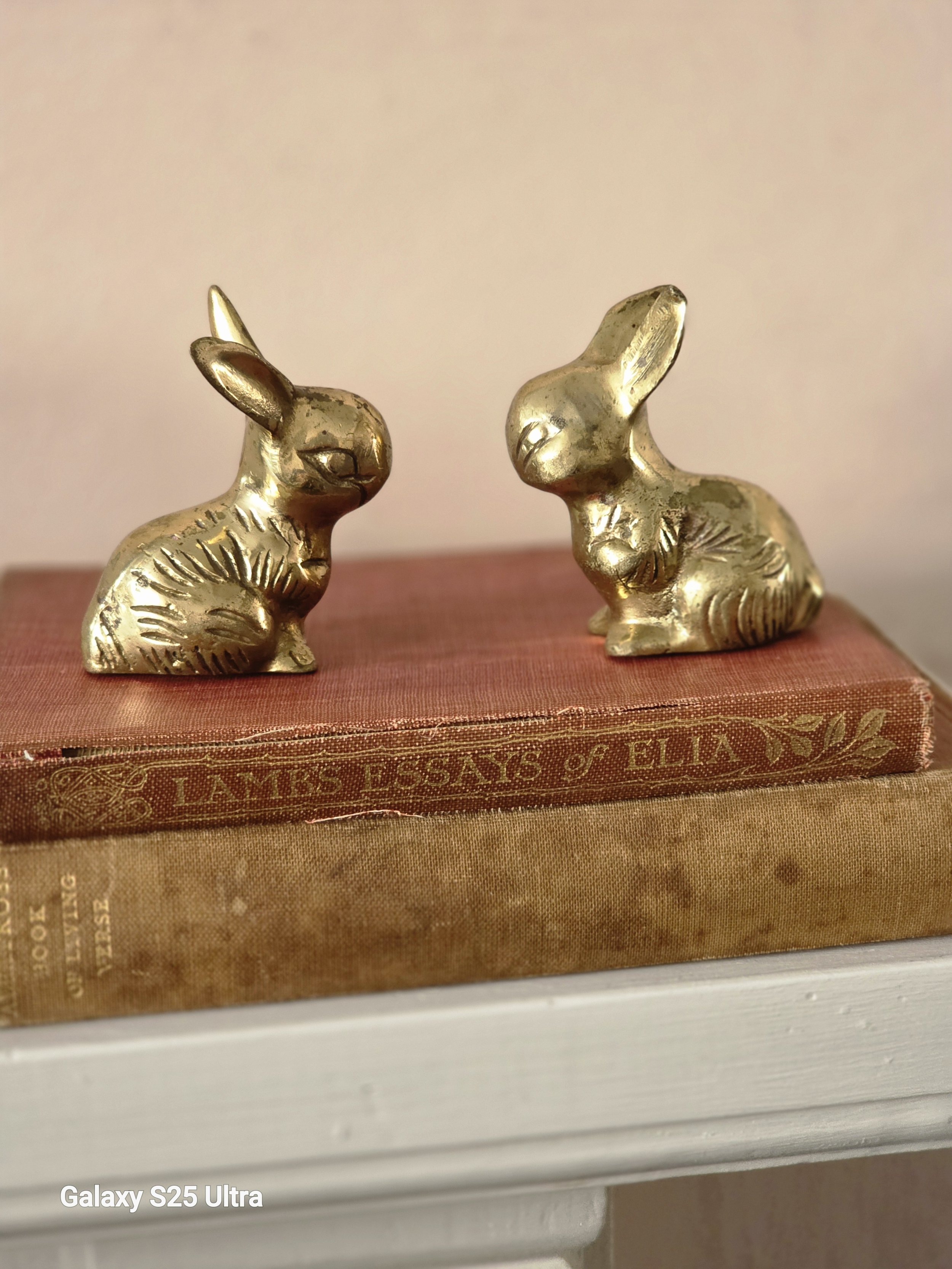 Brass Bunnies (6).jpg
