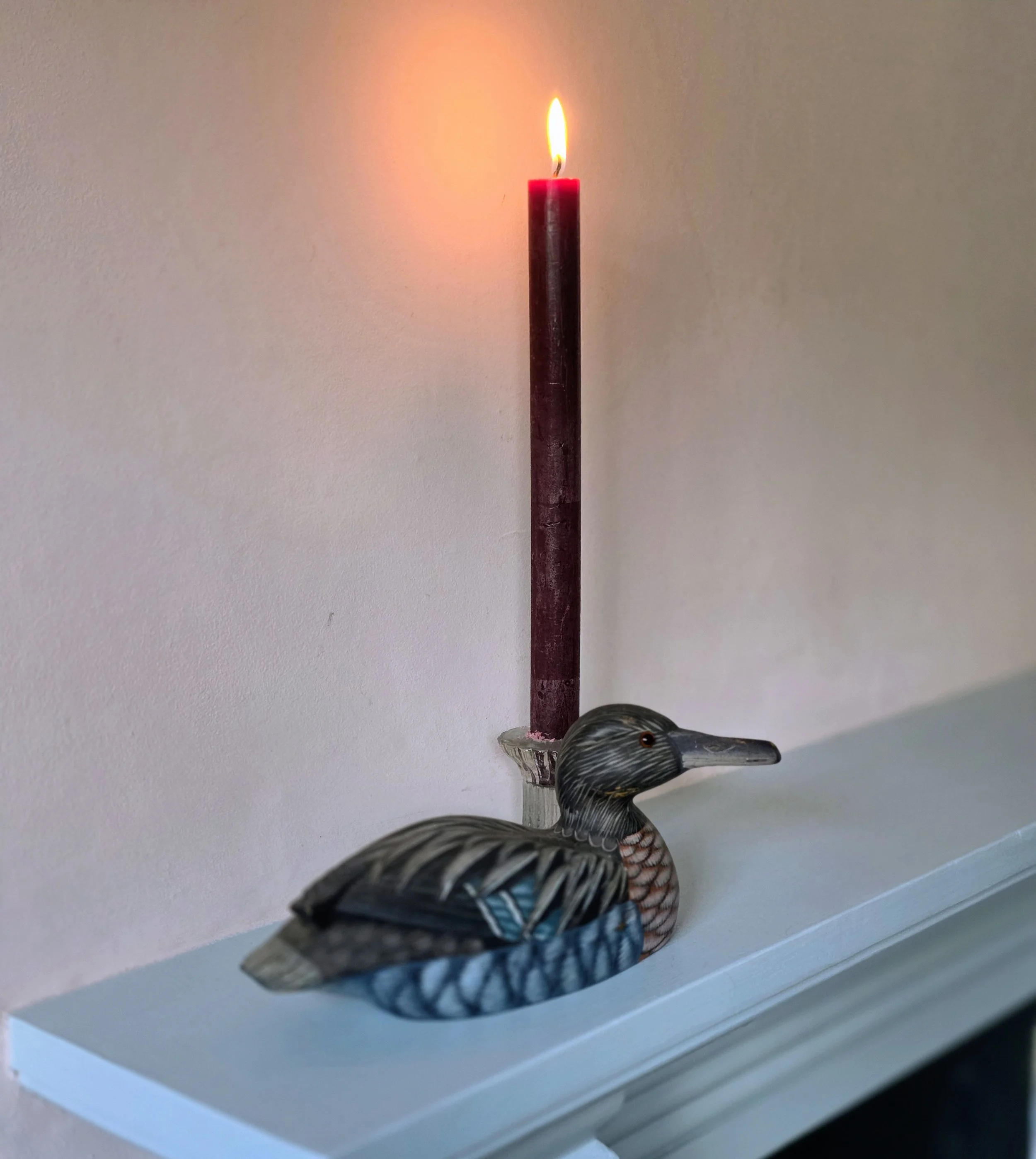 Decoy duck (3).jpg