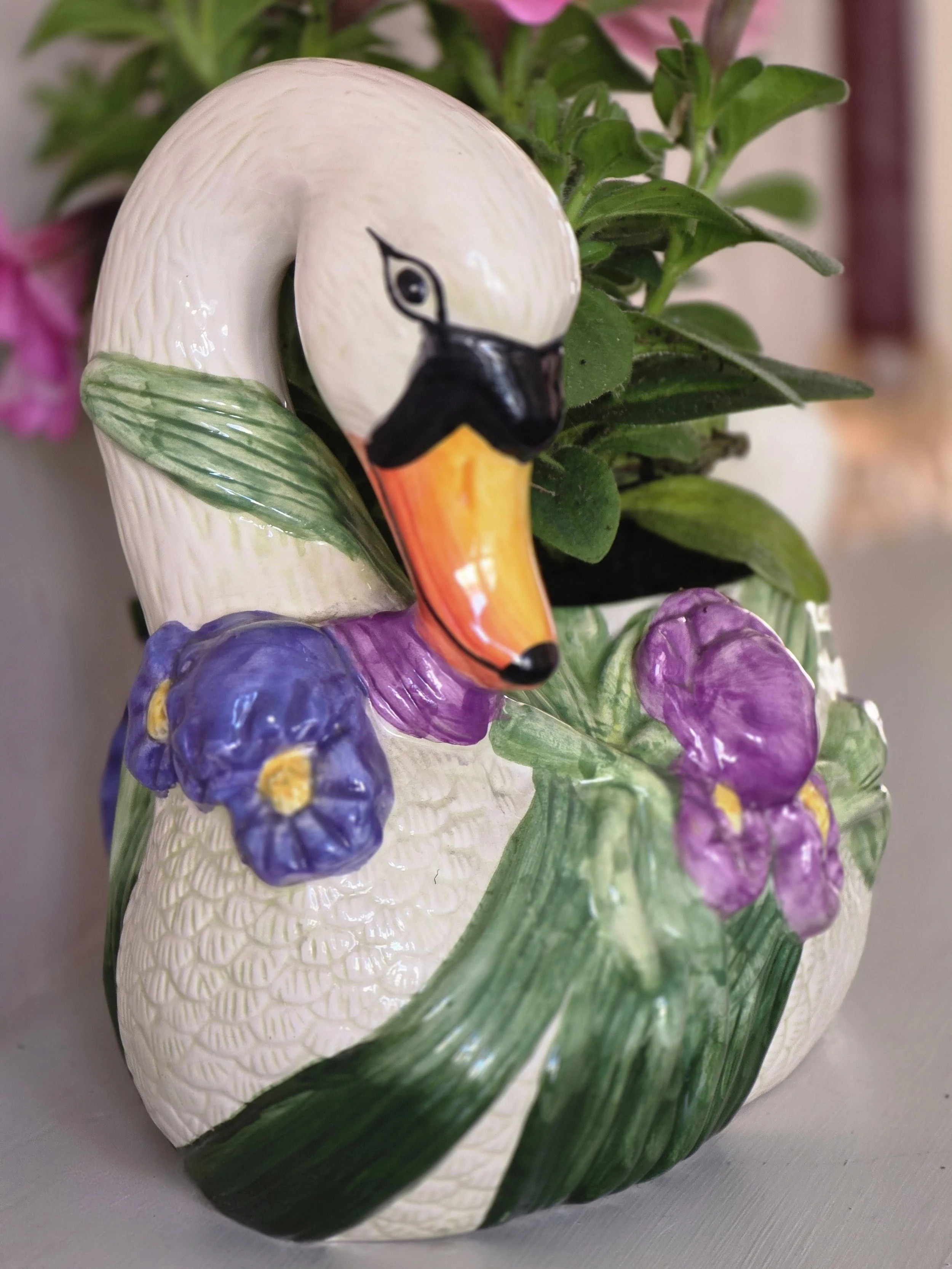 Regency Swan (3).jpg