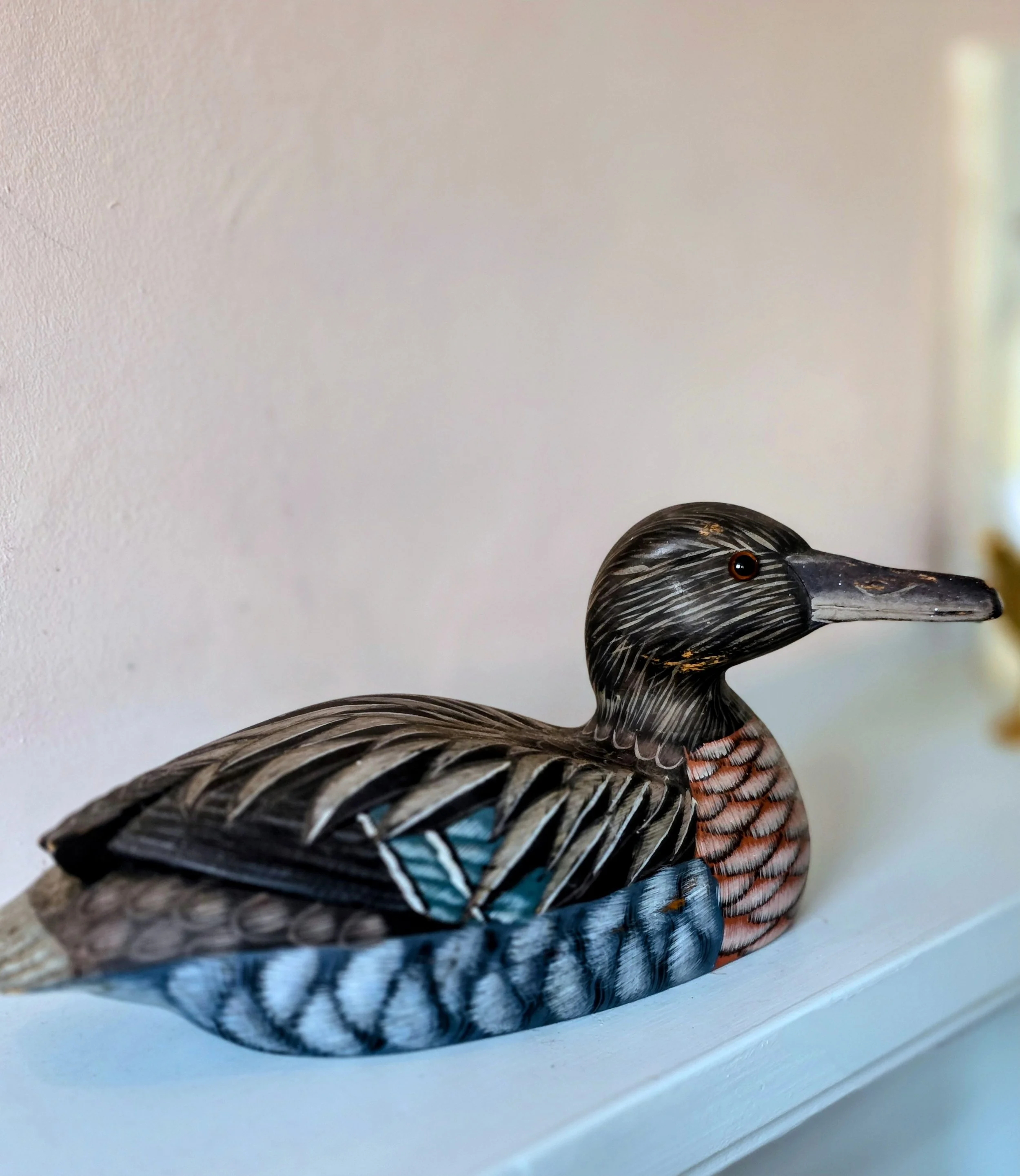Decoy duck (5).jpg