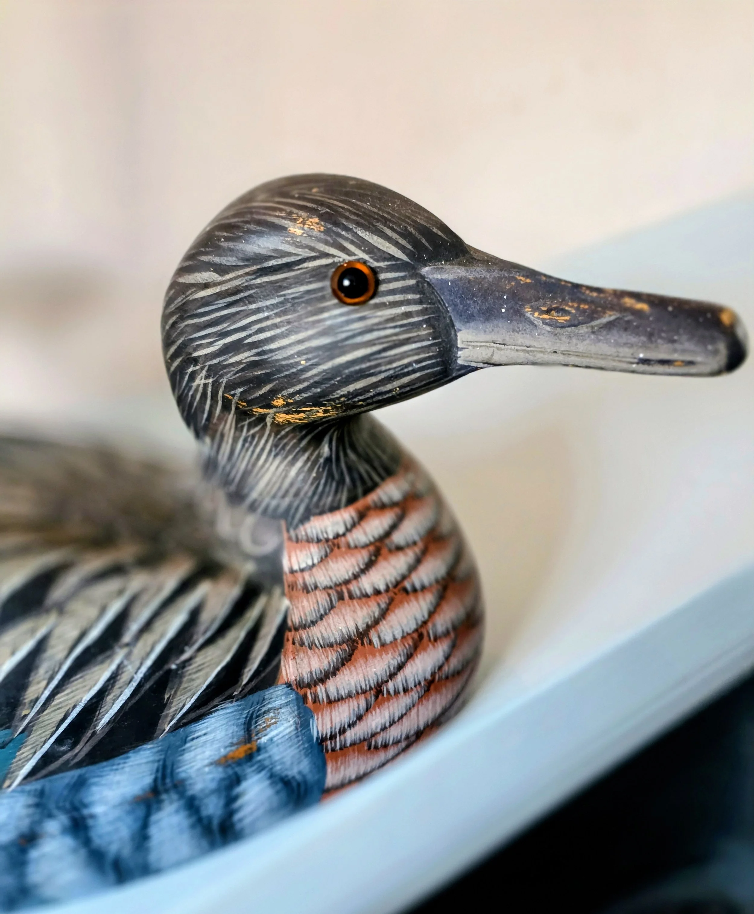 Decoy duck (2).jpg