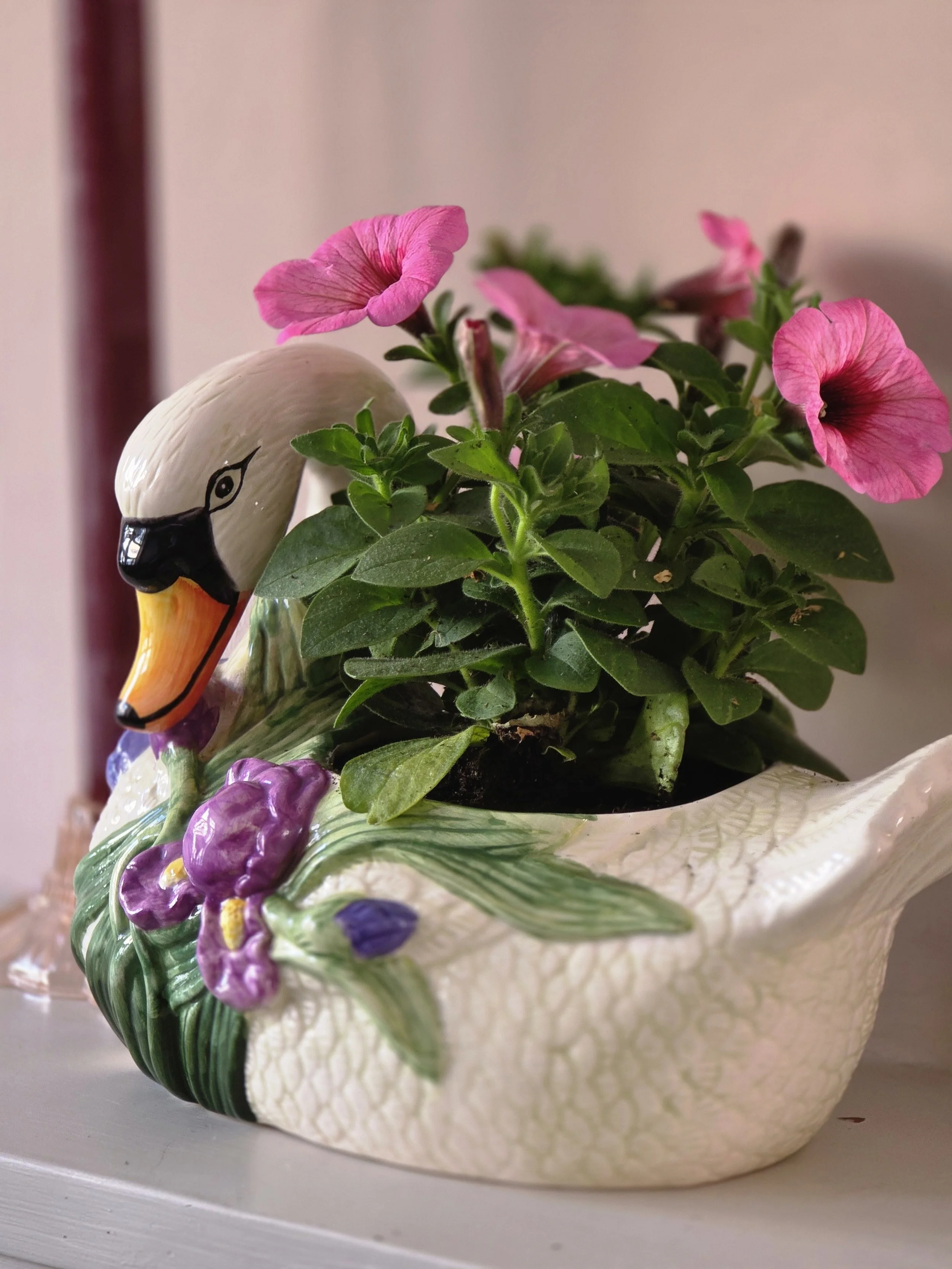Regency Swan (2).jpg