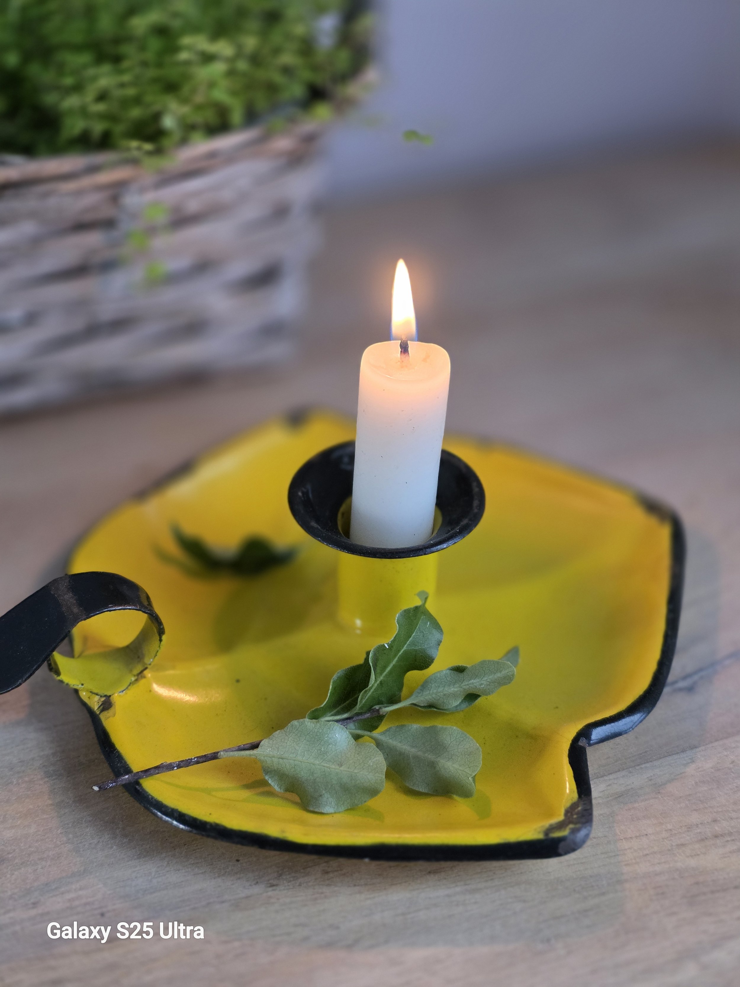 yellow 2.jpg