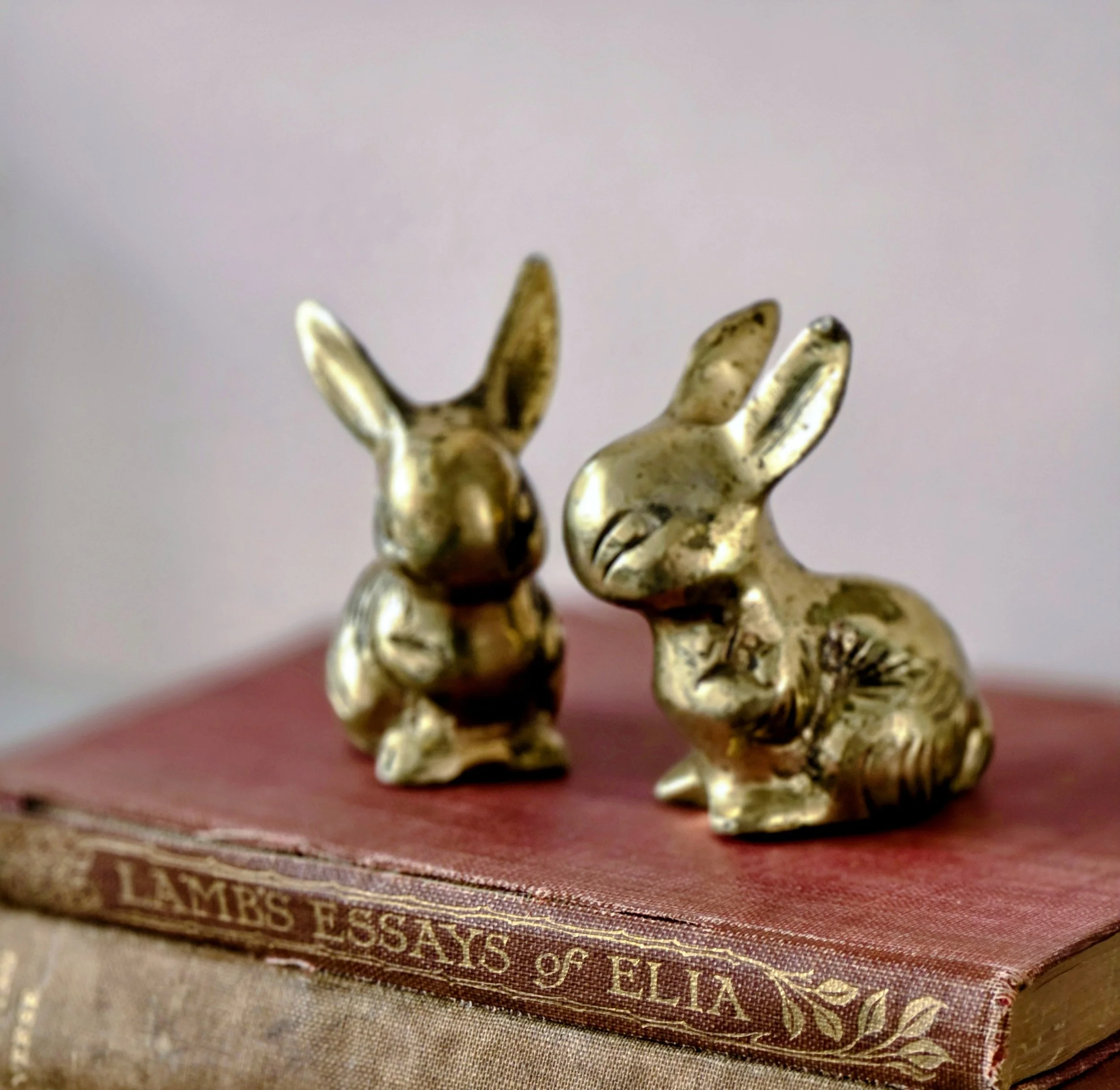 Brass Bunnies (2).jpg
