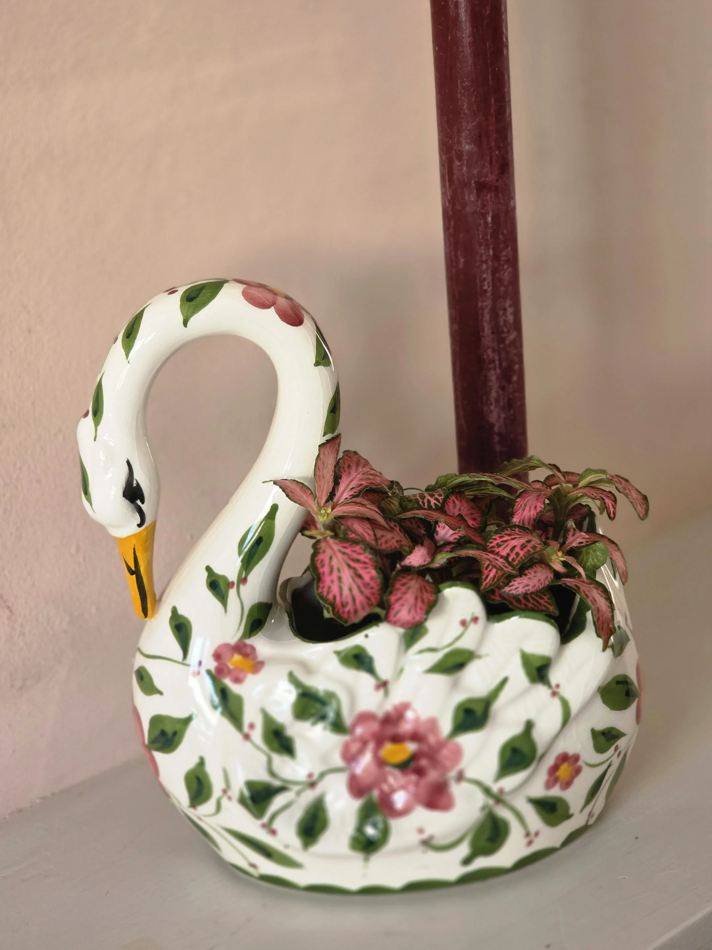 john jenkins (3).jpg