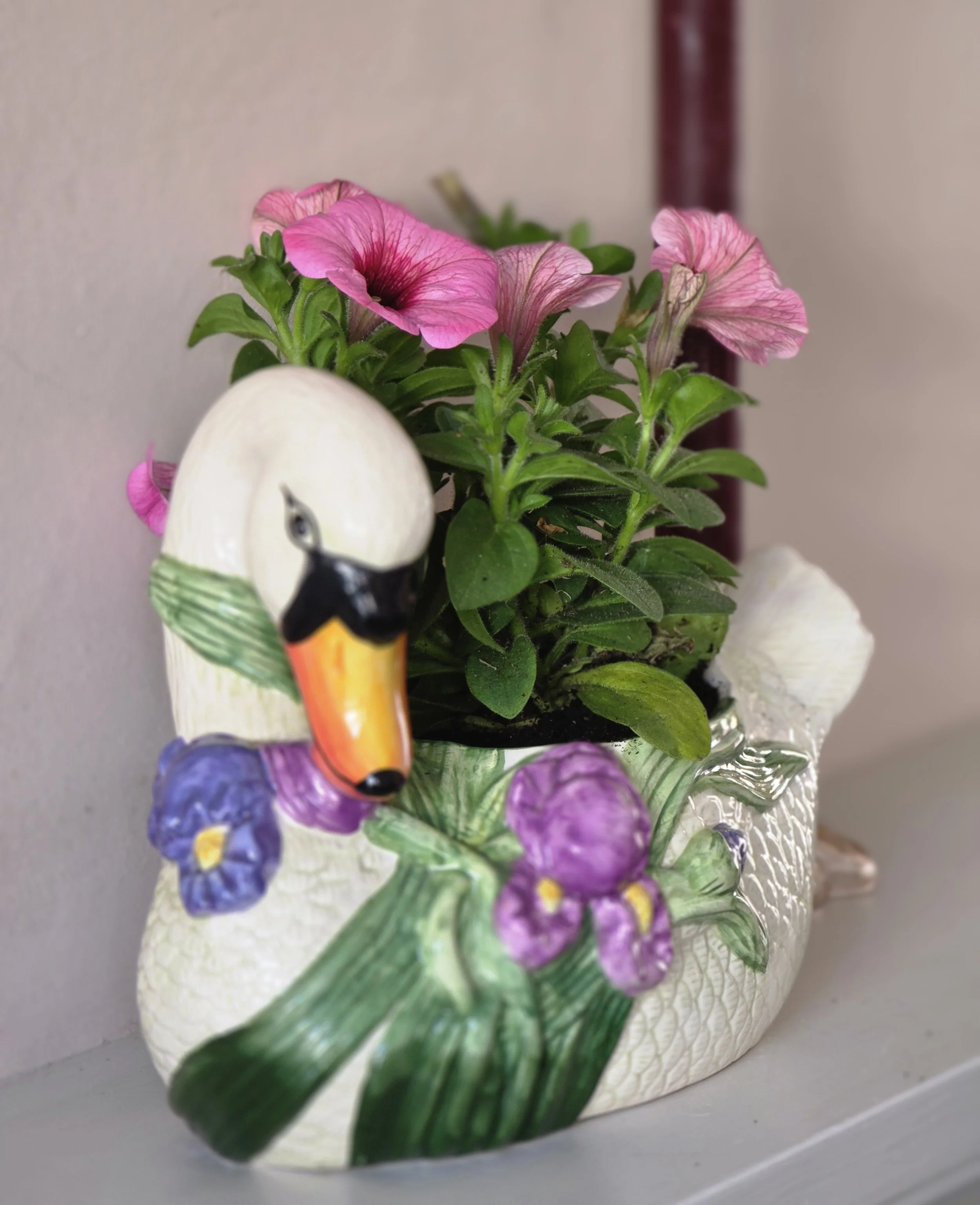 Regency Swan (4).jpg