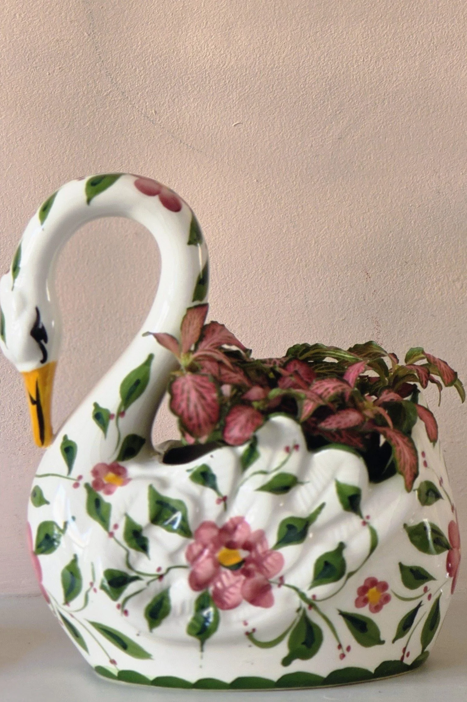 john jenkins swan (8).jpg