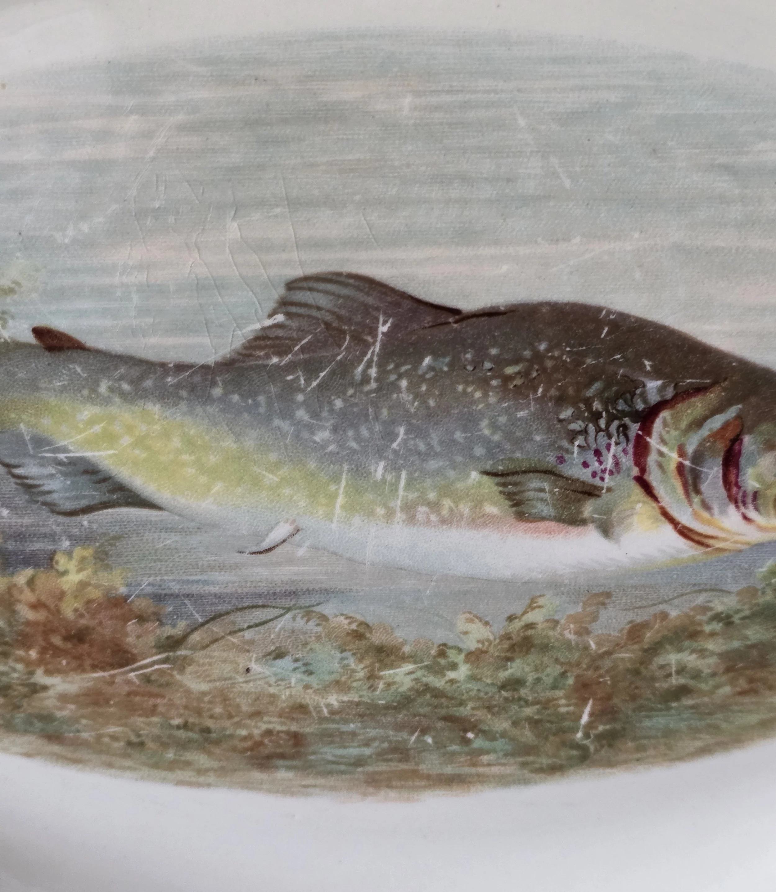 fish plate (2).jpg