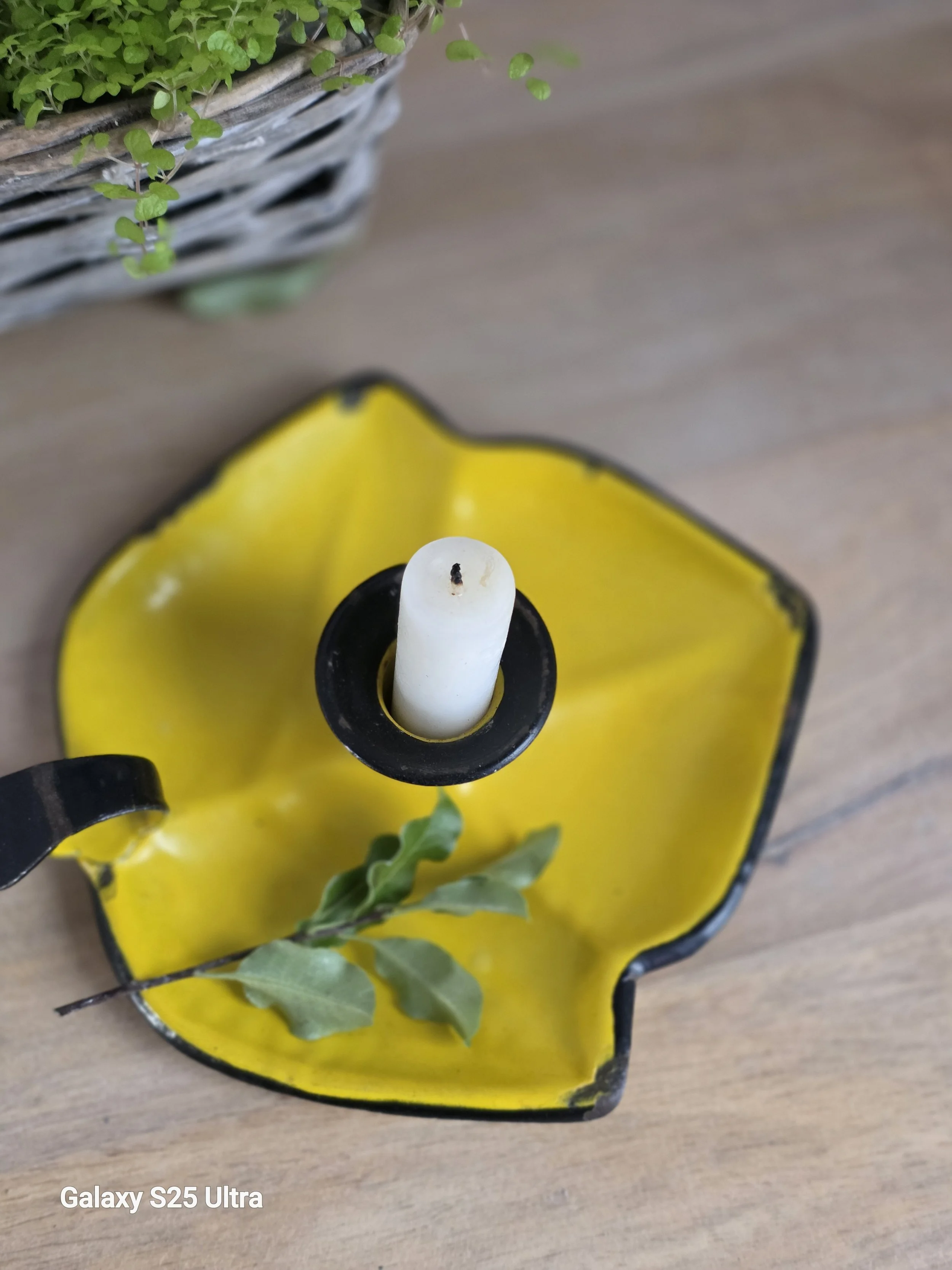 yellow 4.jpg