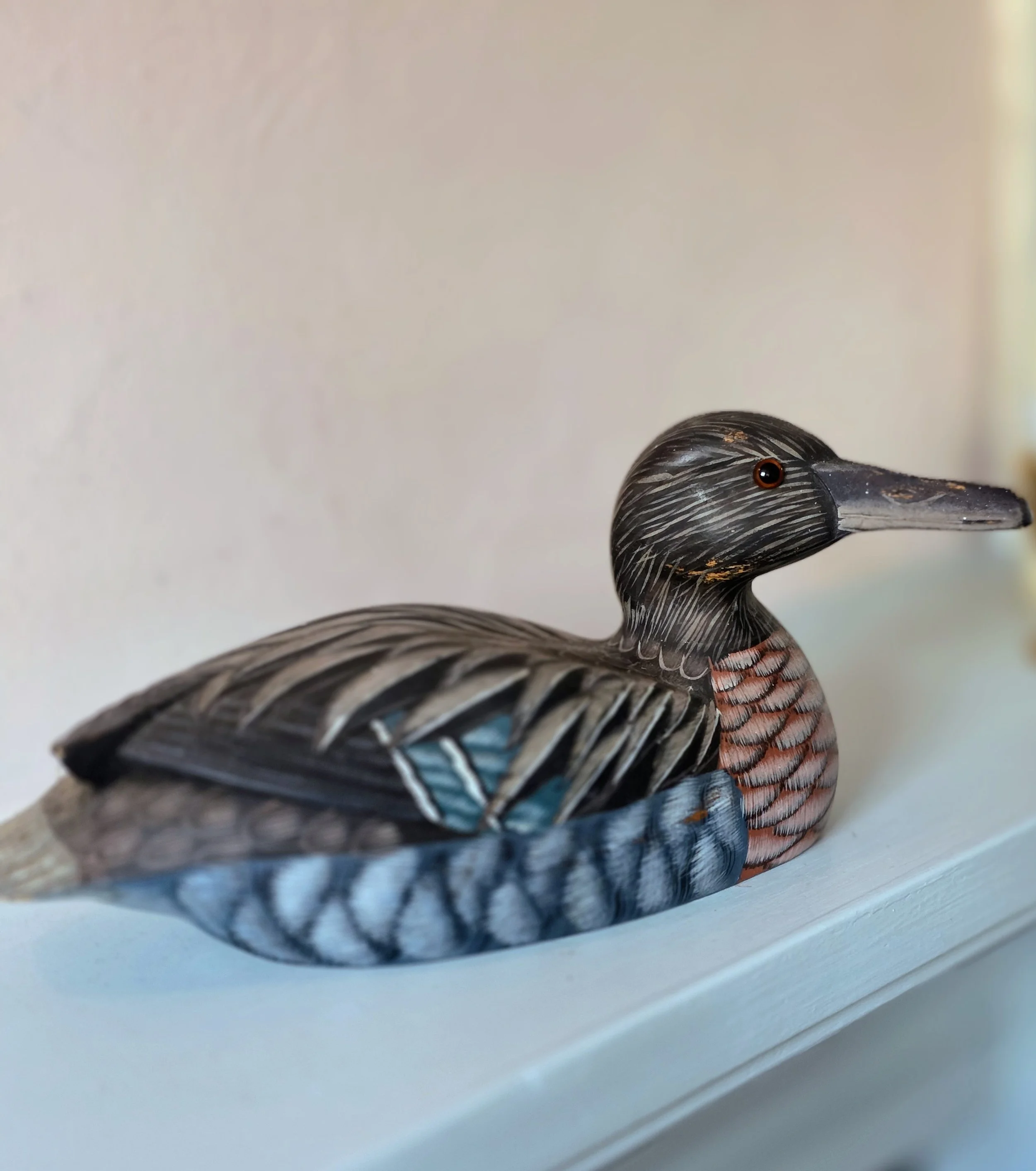 Decoy duck (6).jpg