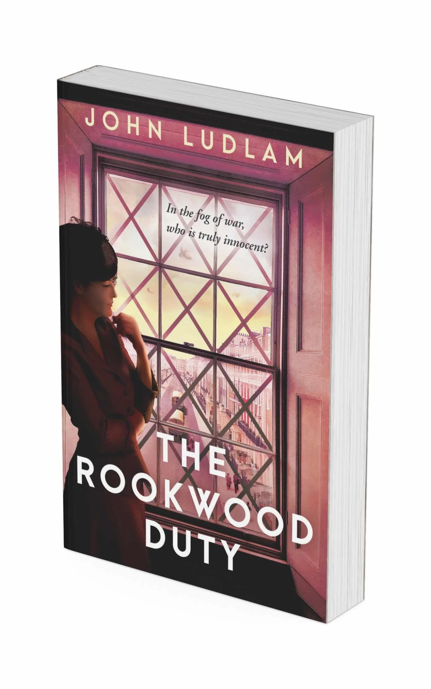 TRD paperback mockup 2 lo-res.jpg