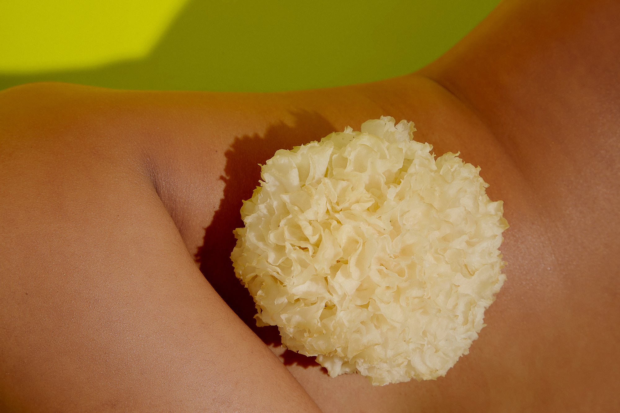 Elder Flower Tremella Mushroom close up