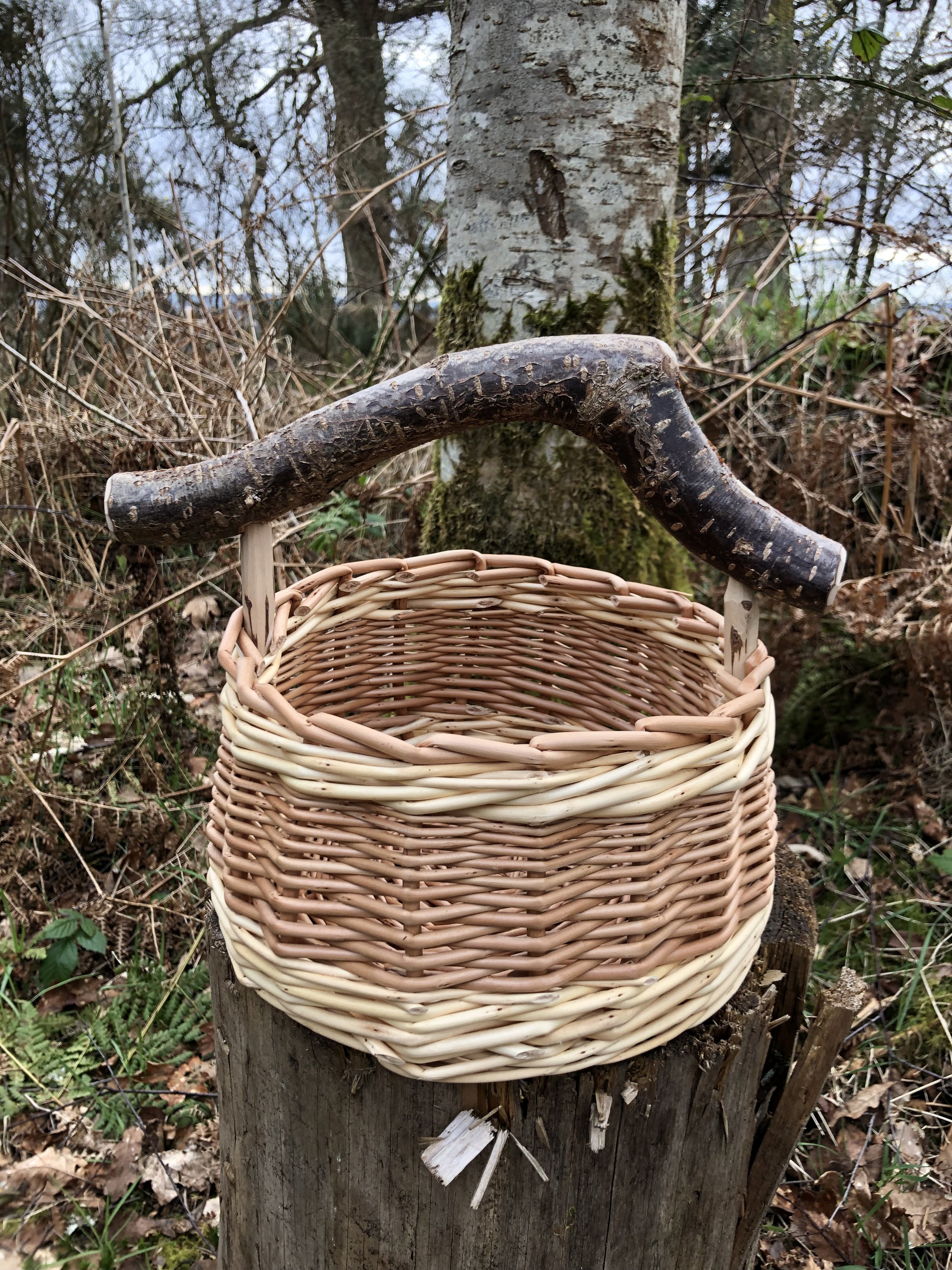 Willow Berry Baskets