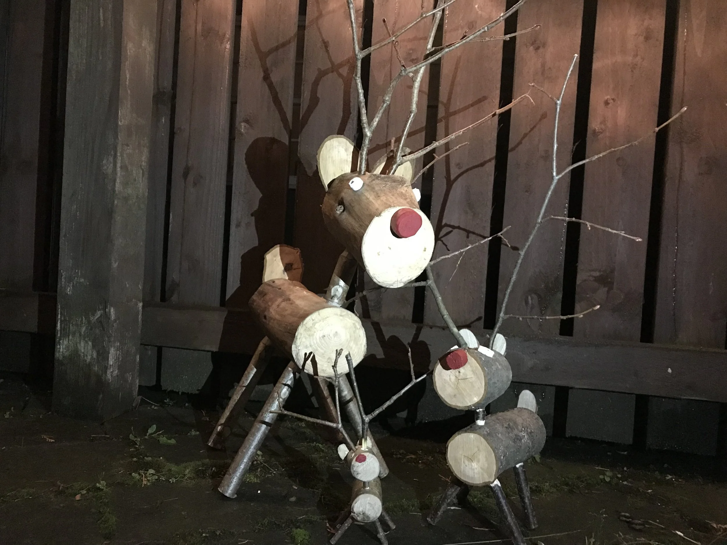 Festive Reindeers