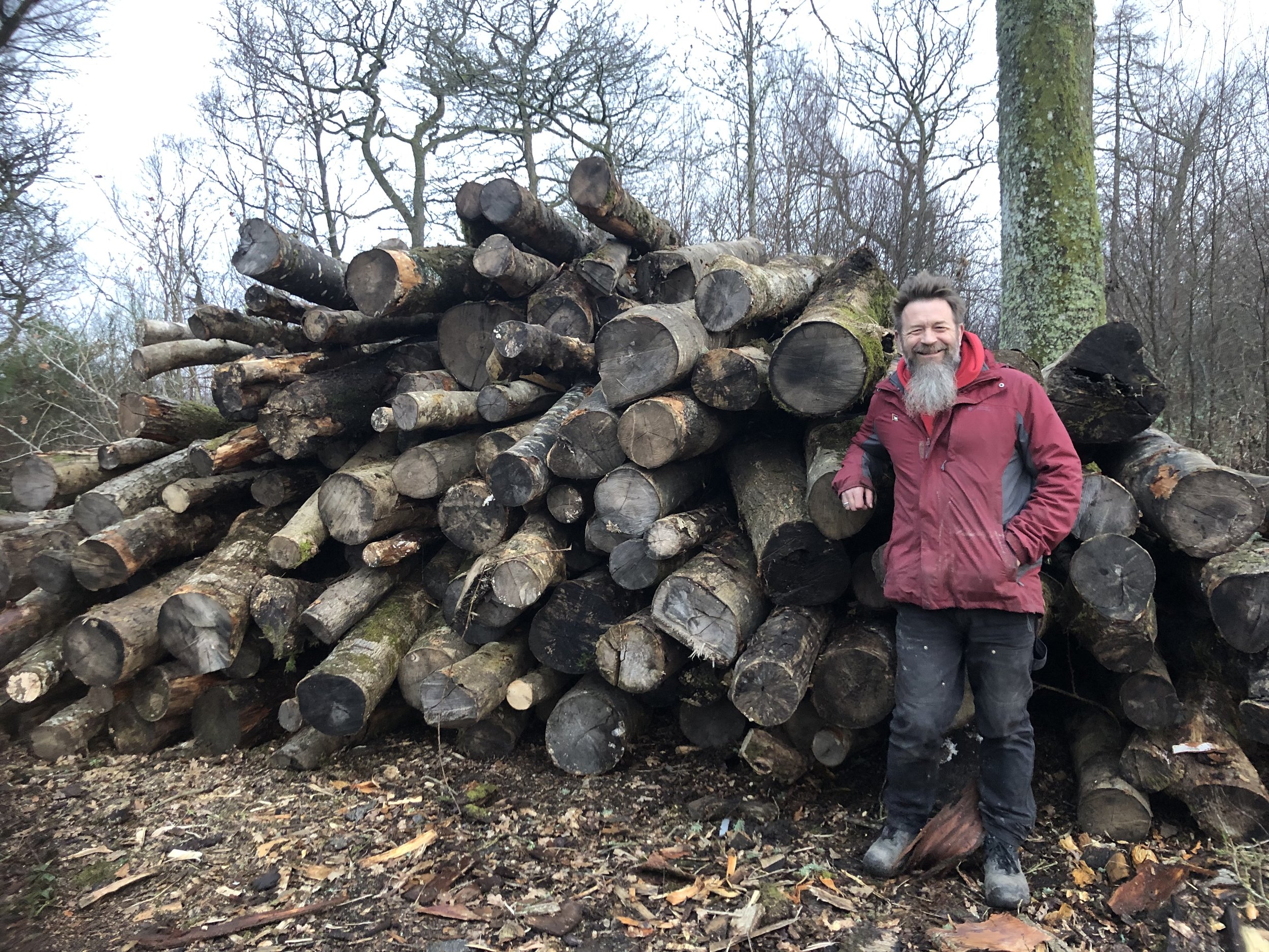 Latest news: February 2026