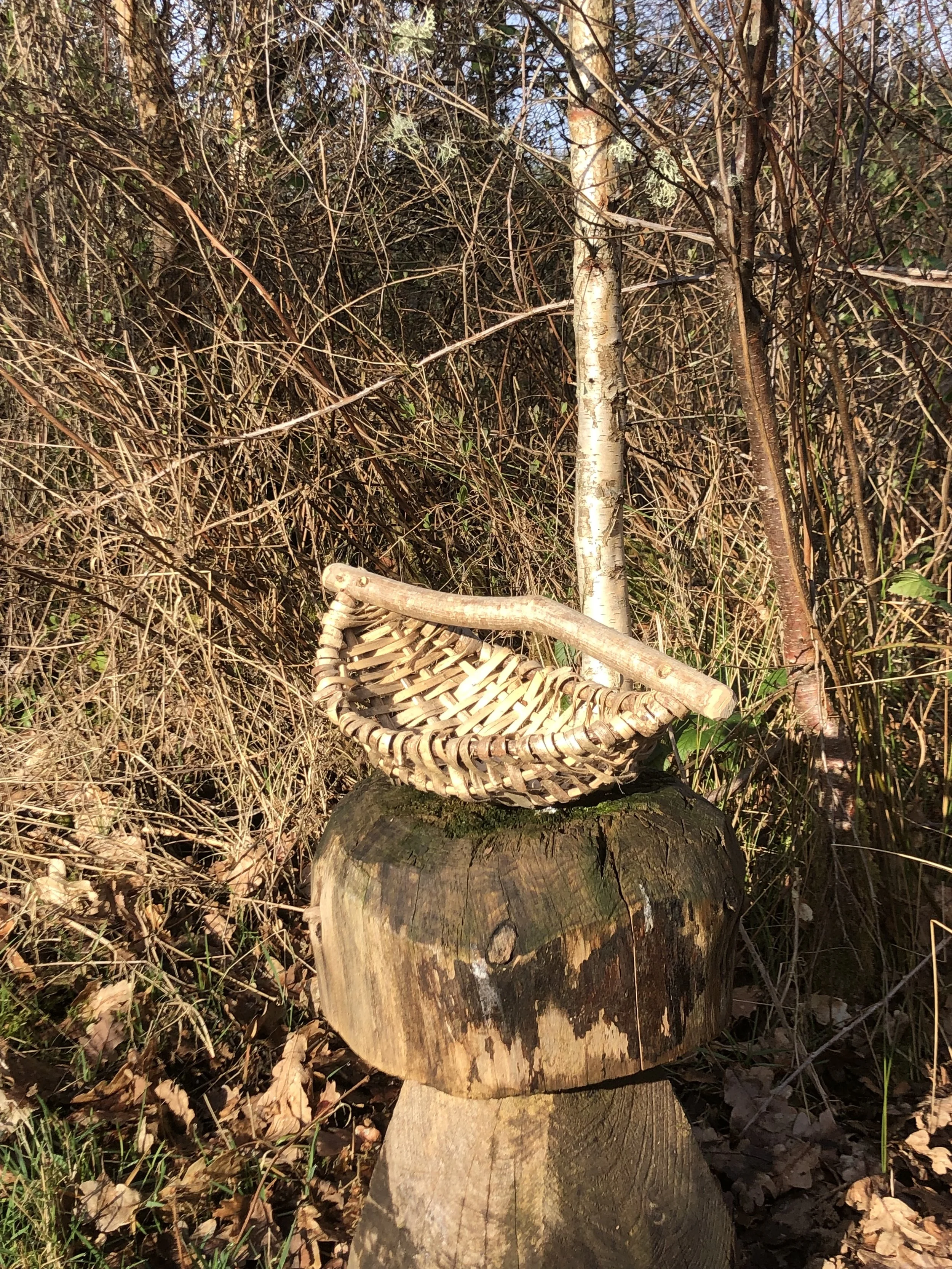 Split hazel baskets with Paul