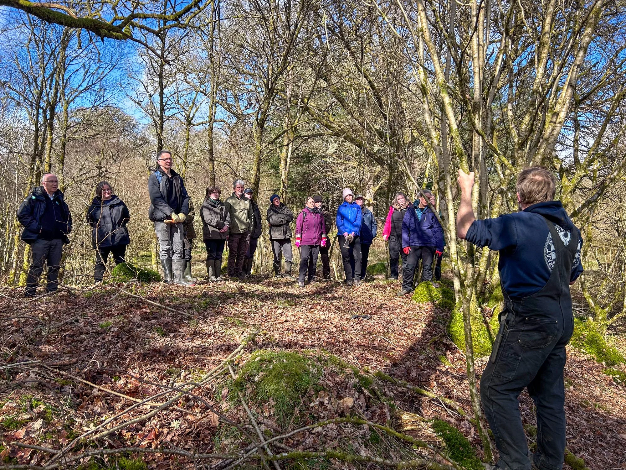 March news from Green Aspirations: it’s all about the coppice!