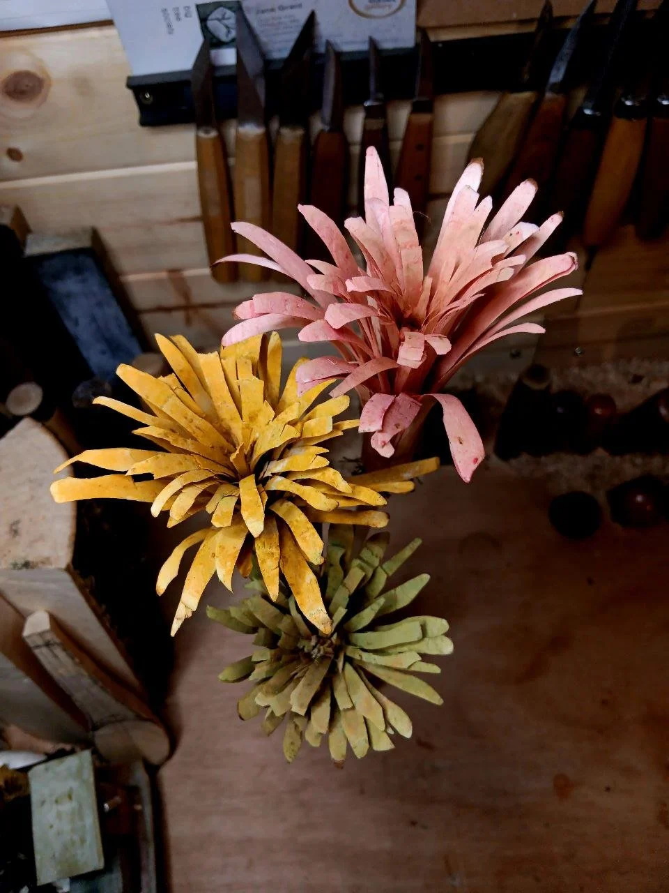 Traveller’s Flowers with Rick