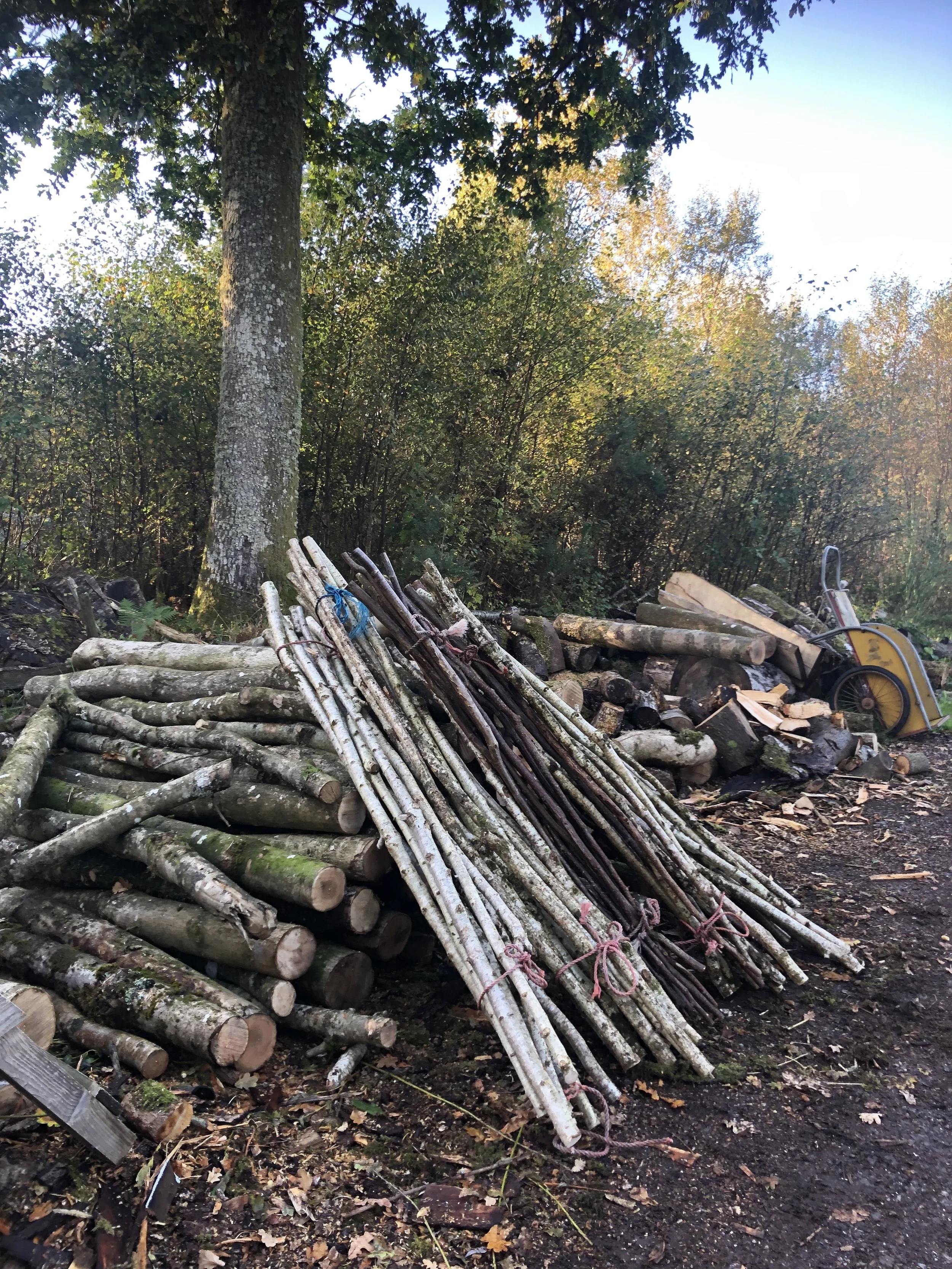 Coppice Crafts opportunities