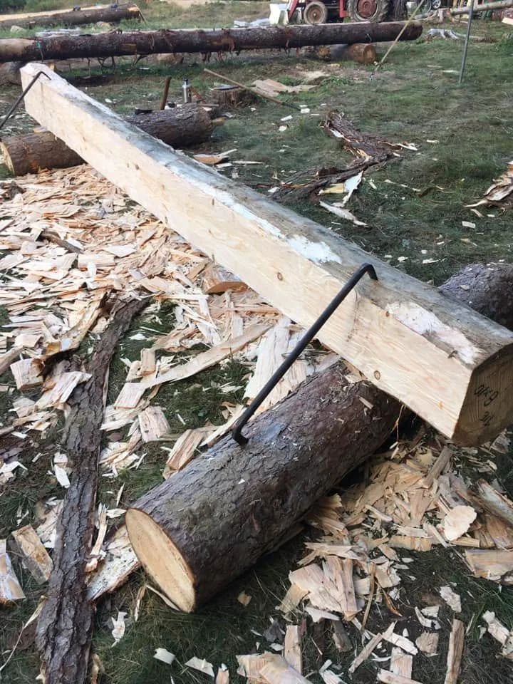Maine_Logdog.jpg