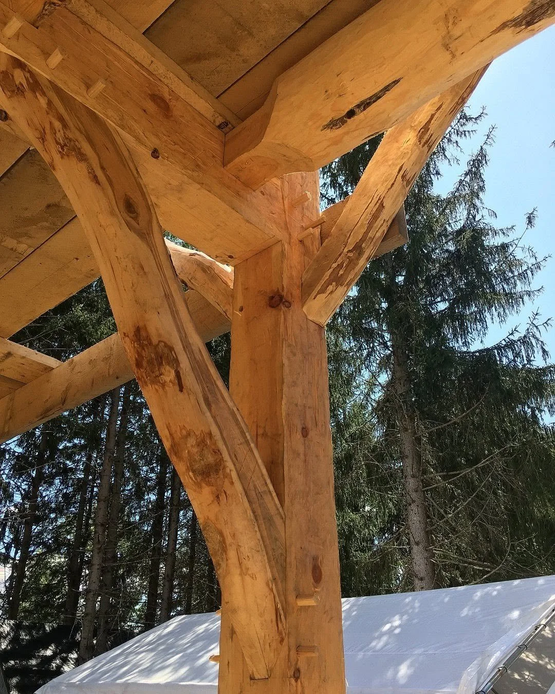 Maine_joints.jpg
