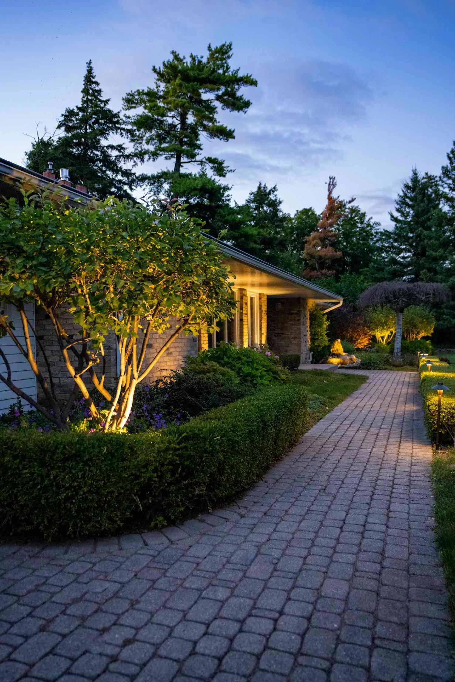 Nighttime view of a landscaped garden with a brick walkway, illuminated by garden lights, with trees and shrubs surrounding a house.