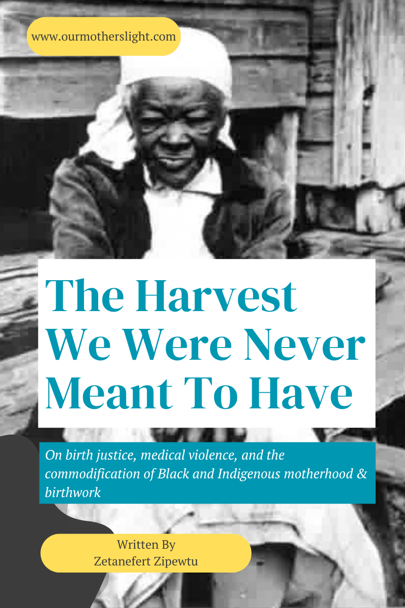 The Harvest We Were Never Meant to Have