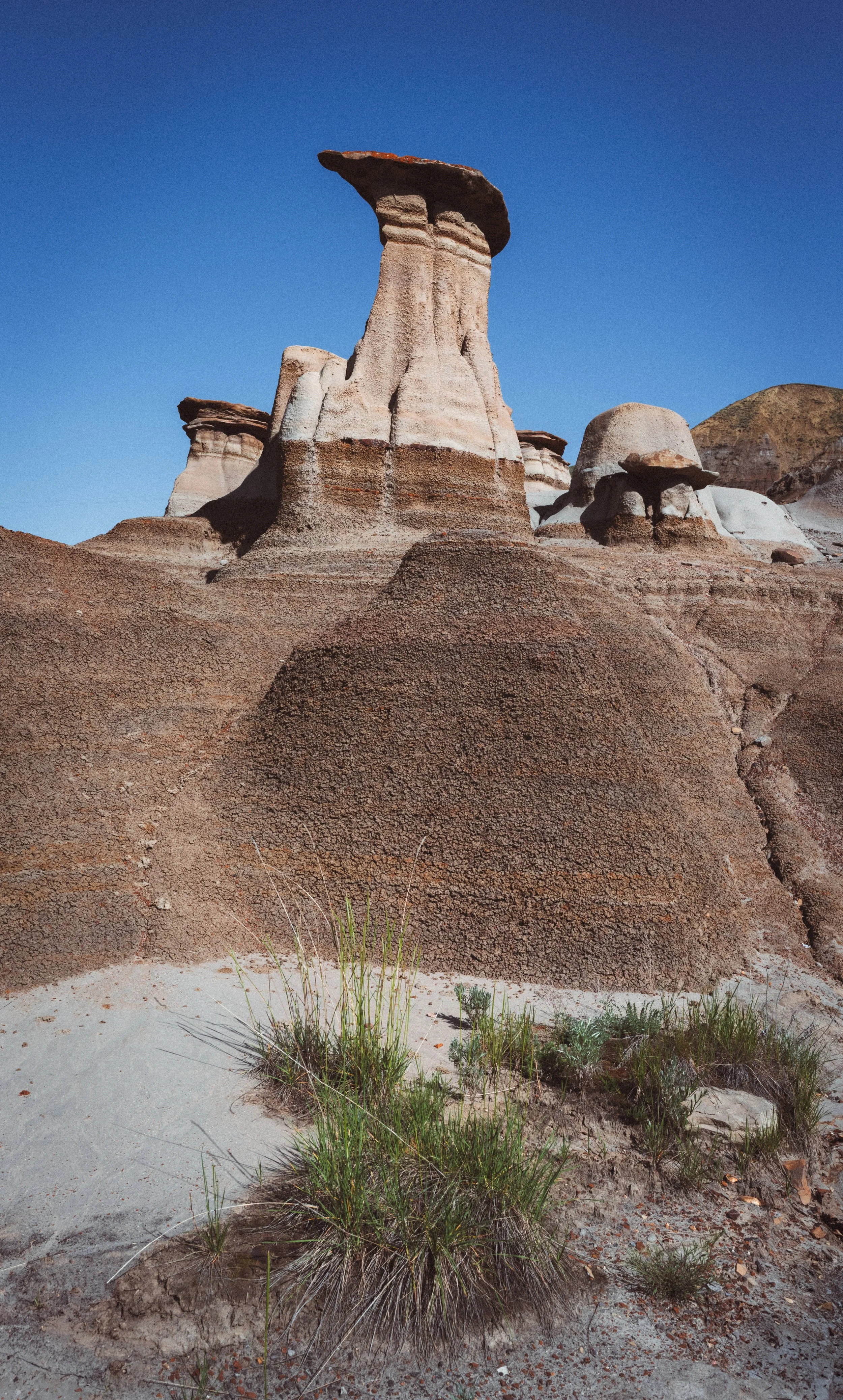 Standing Strong - Drumheller AB
