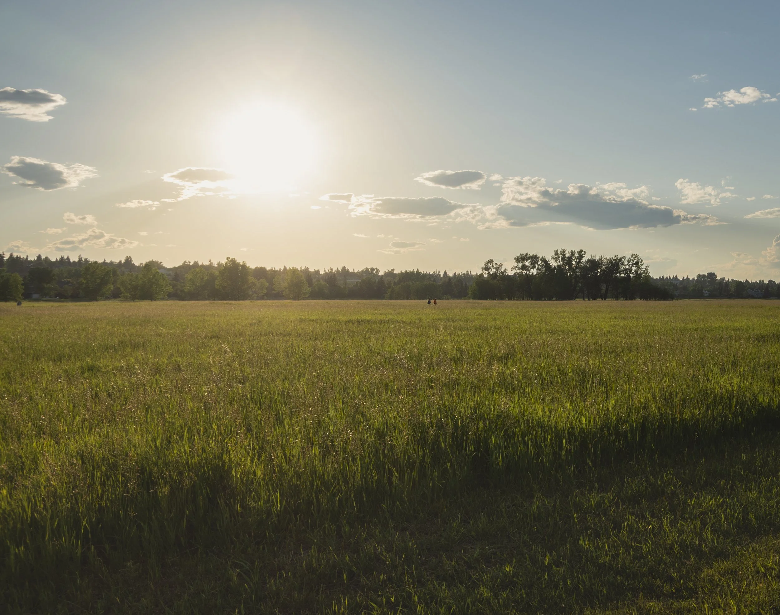 Sunset Bliss in Fish Creek