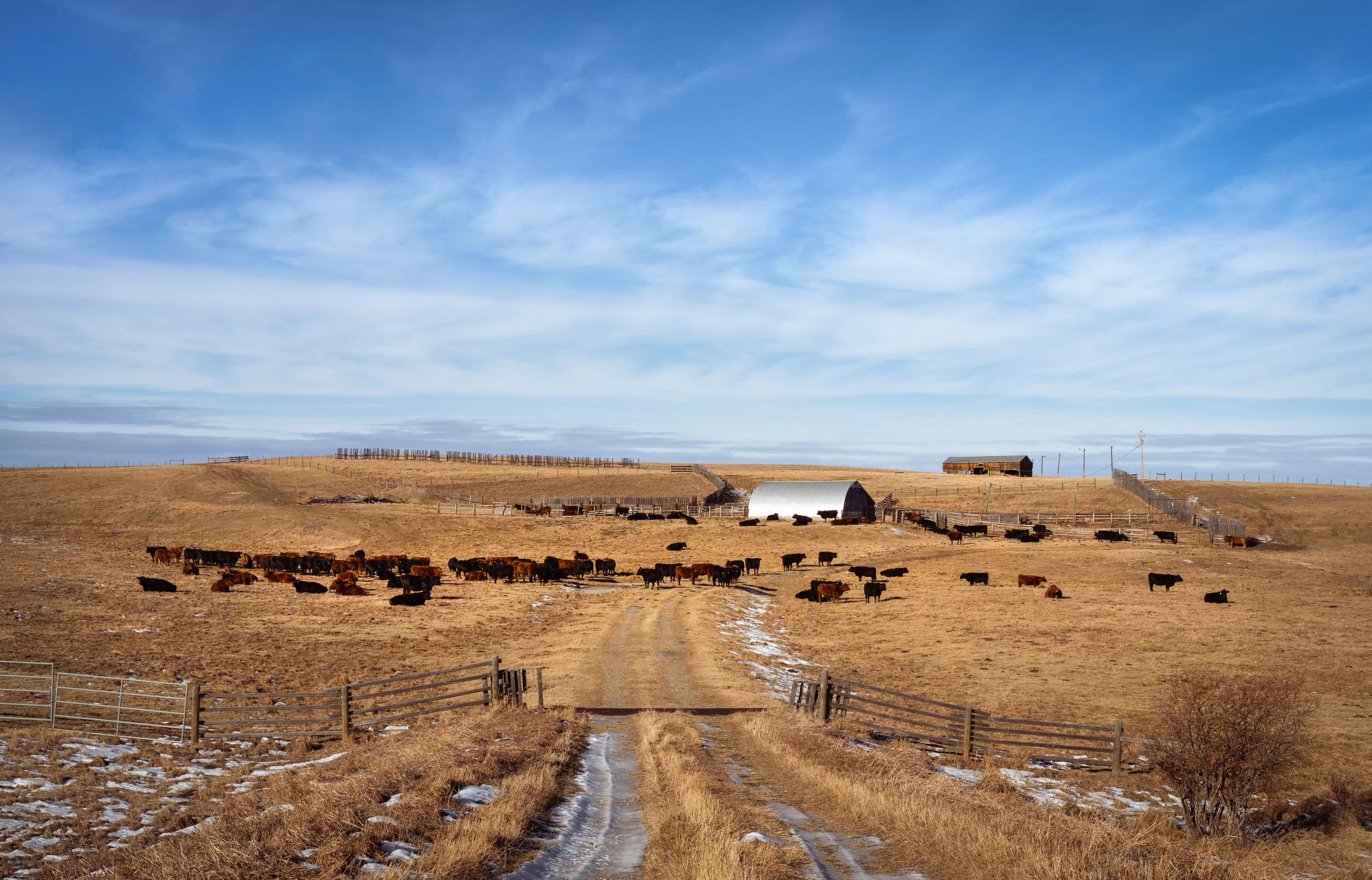 Classic - Rockyview County AB