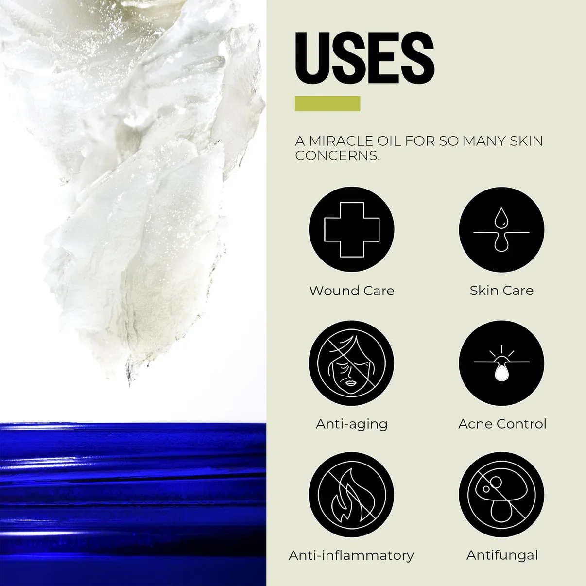 olive-oil-graphic-3__05125.jpg.webp