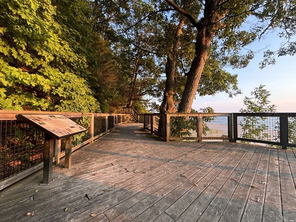 Parks department to host scavenger hunt