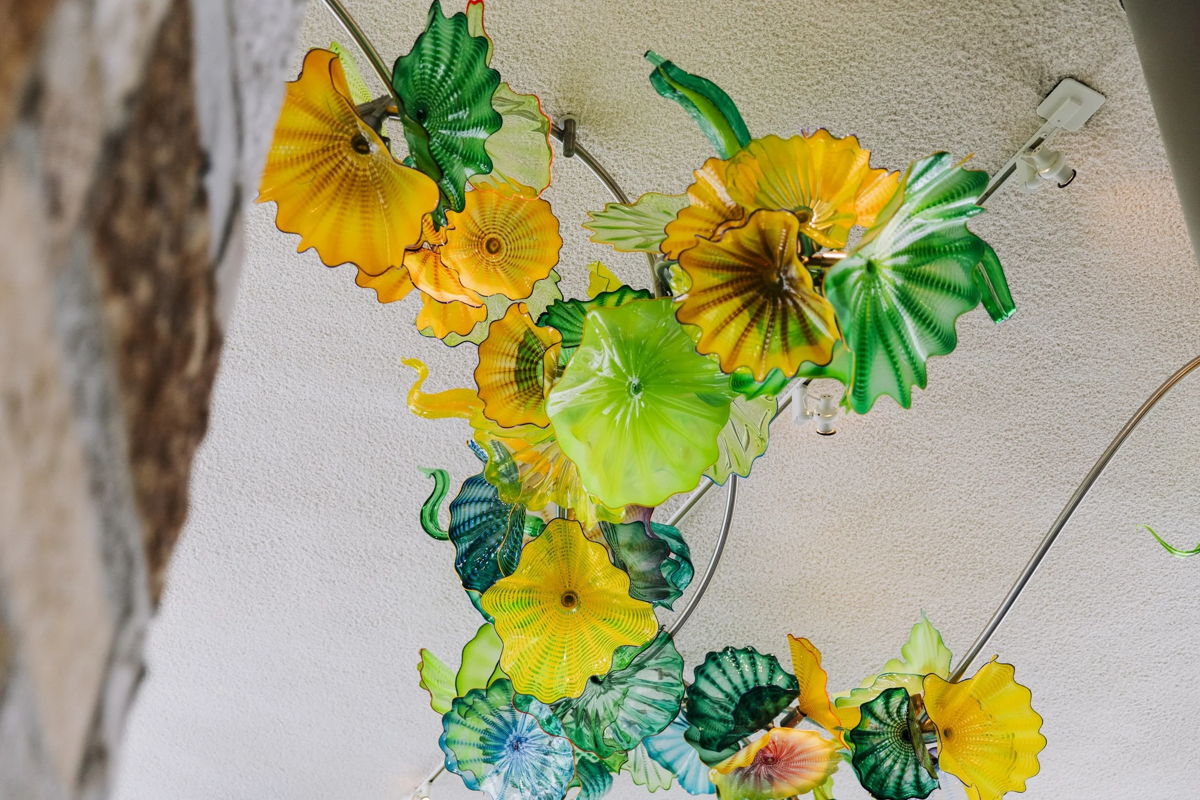Chihuly exhibition anchors 2026 Gardens' event calendar — West