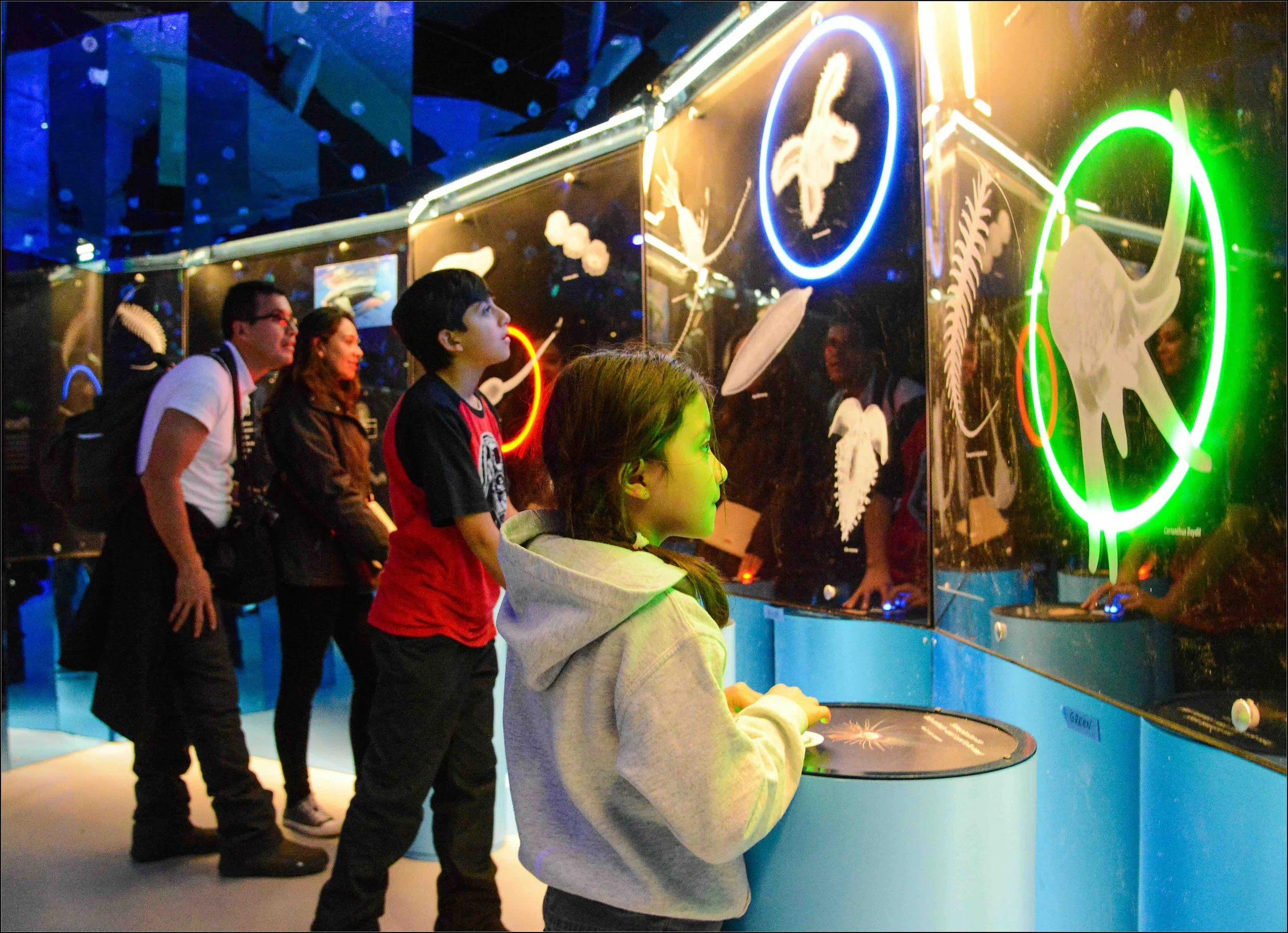 Unseen Oceans exhibit to make a splash in Grand Rapids
