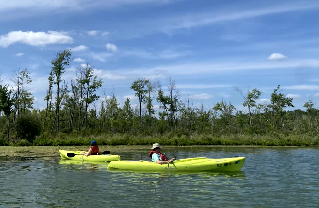 Low-cost, nature-based programming returns to county parks this summer
