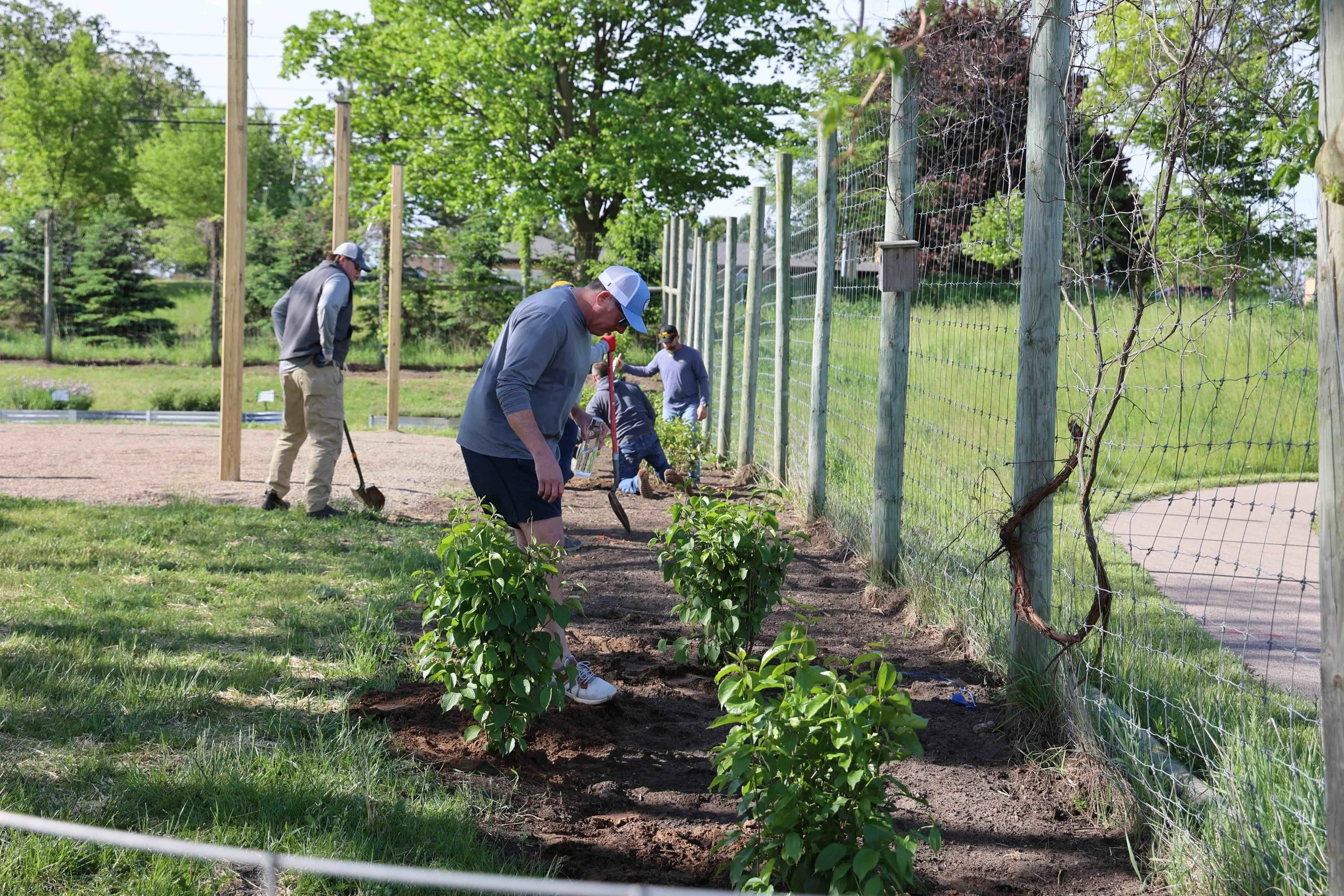 AmeriCorps launches new program supporting nonprofit &nbsp;