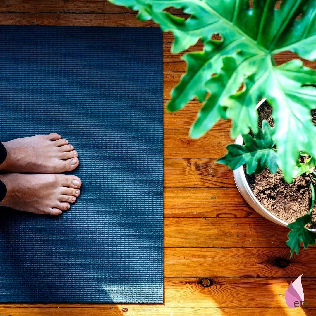 A person's bare feet standing on a blue yoga mat on a wooden floor, next to a potted green leafy plant.
