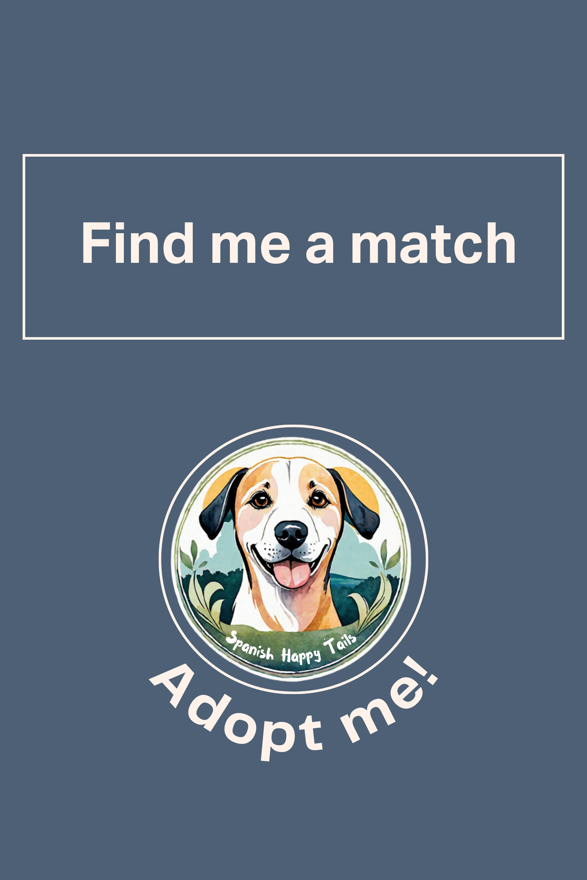 Buddy's adoption update Spanish Dog Rescue UK Rescue dogs in Spain