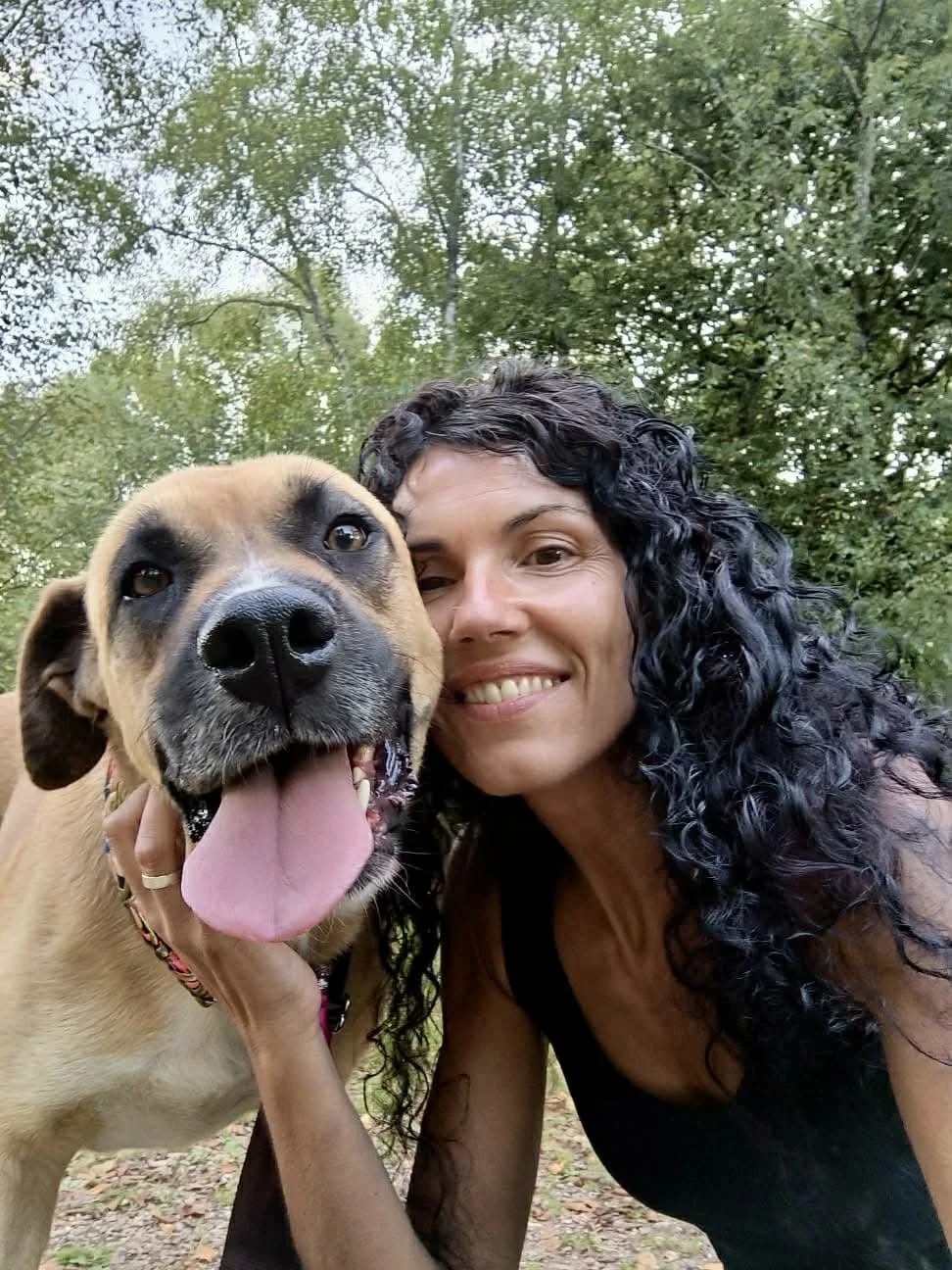 Adopte un perro Lugo-perros en adopcion Galicia-adoptar perro Galicia-Adopte un perro Lugo-perros en adopcion Lugo-Adoptar perro Lug