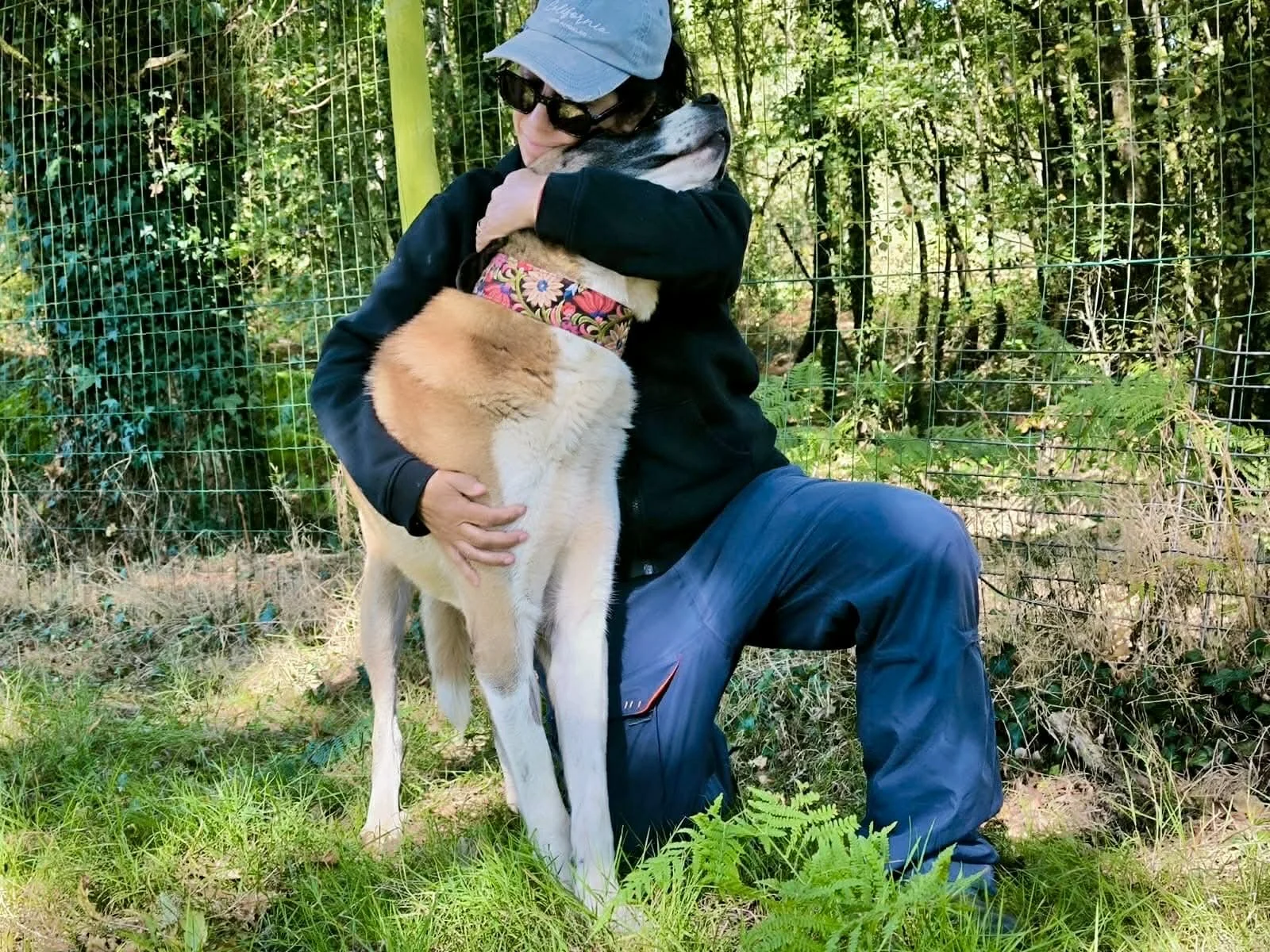 Adopte un perro Lugo-perros en adopcion Galicia-adoptar perro Galicia-Adopte un perro Lugo-perros en adopcion Lugo-Adoptar perro Lug