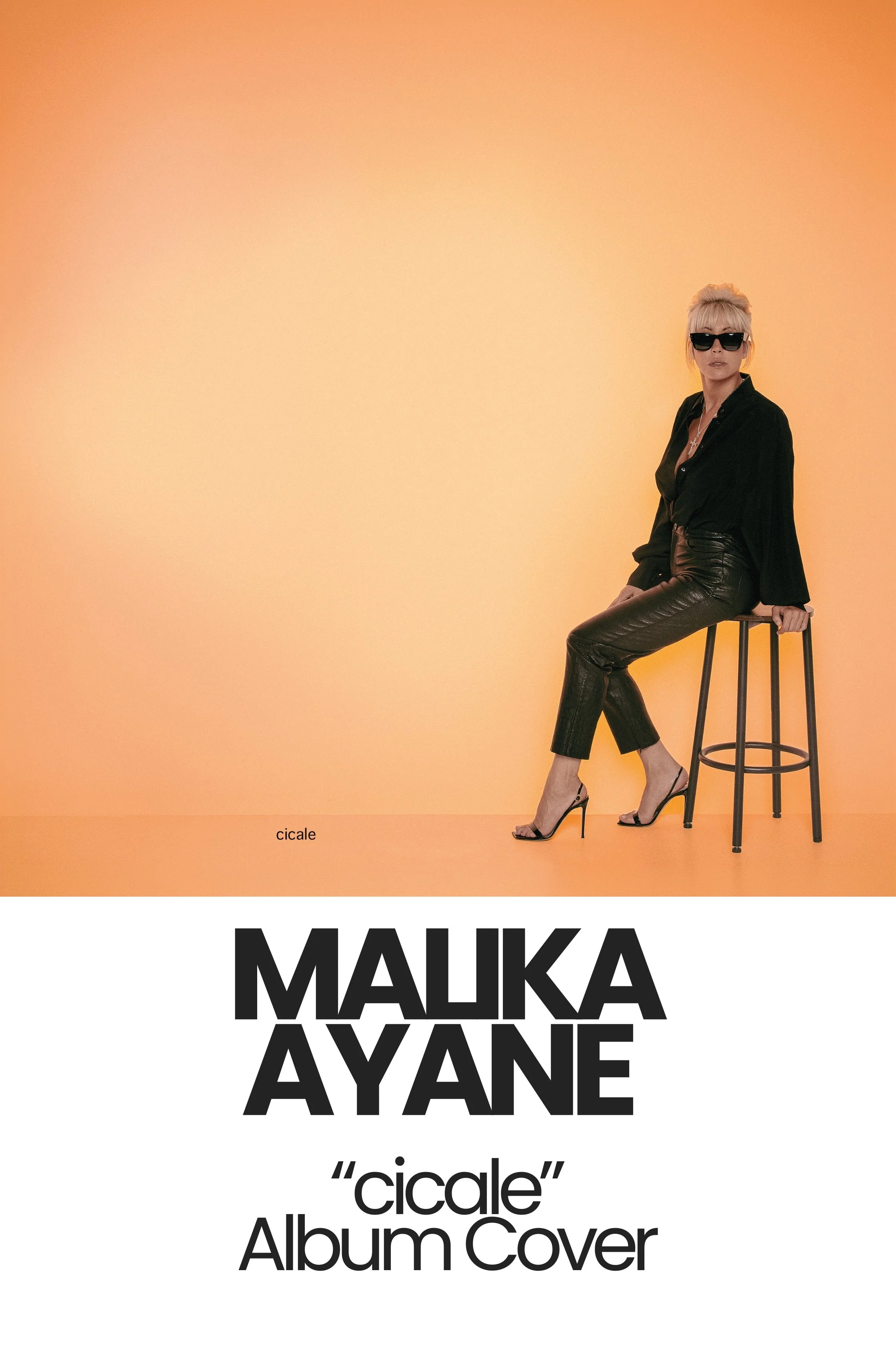 Malika Ayane by Davide Edoardo _ cicale Album Cover.jpg