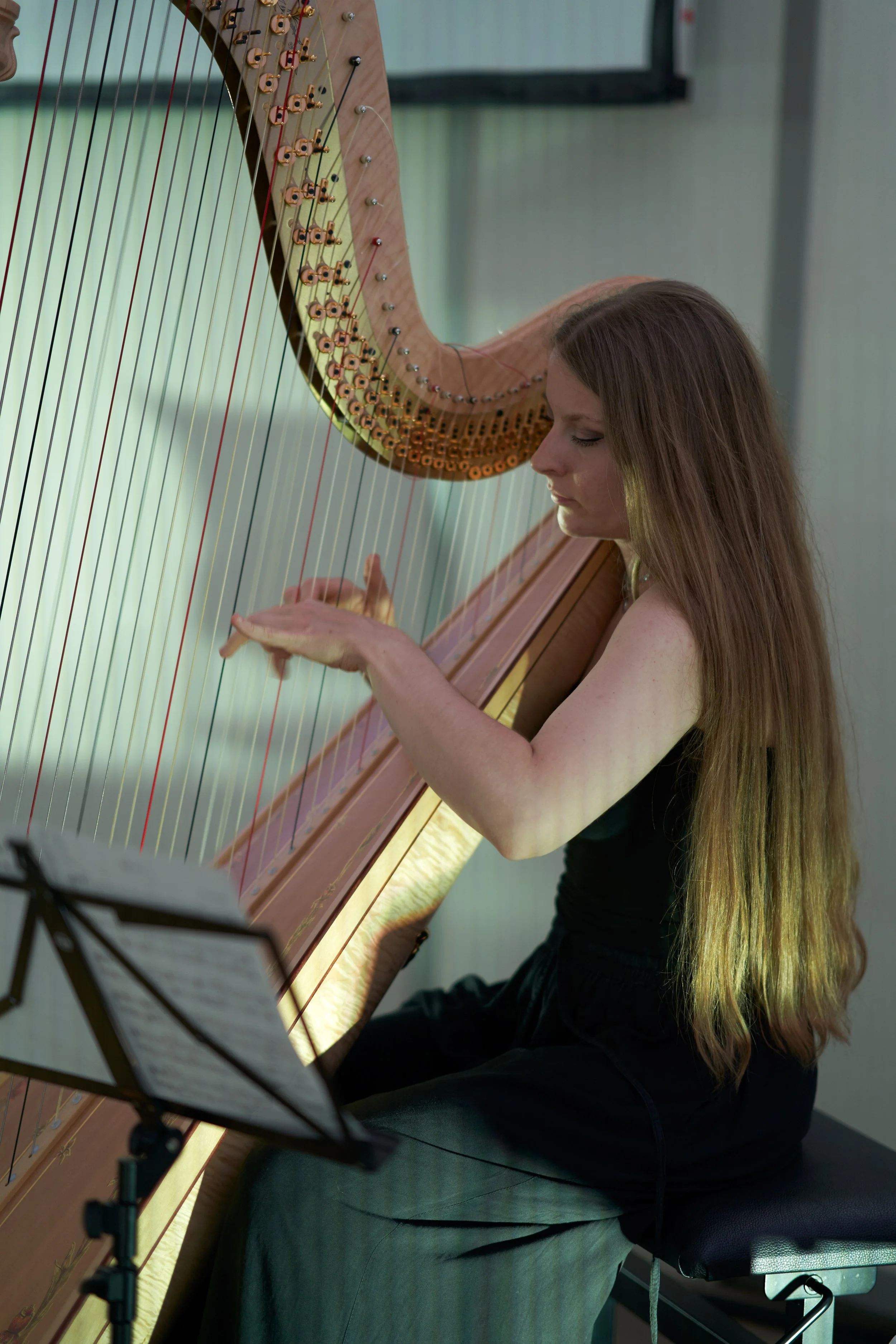 Photo by Farnaz Shahryari