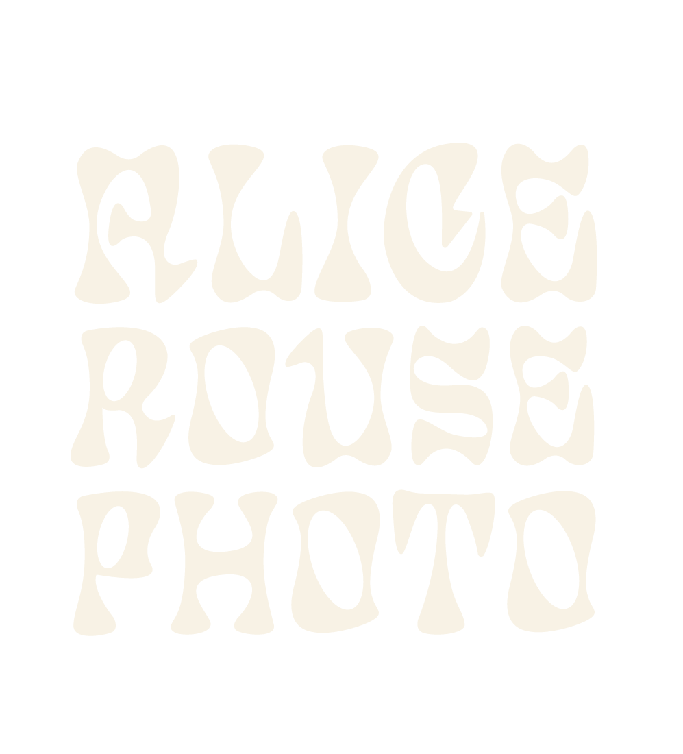 Photos by Alice Rouse
