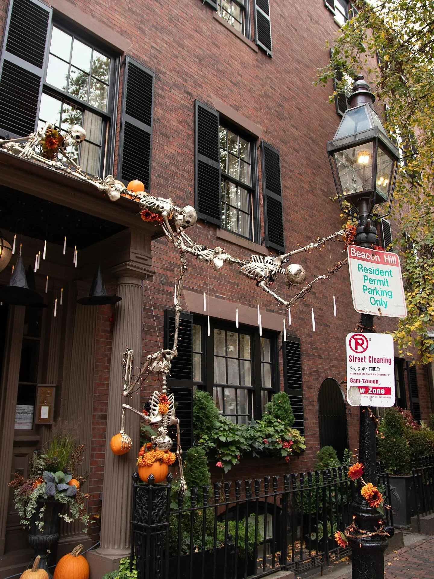 A stroll through halloweentown ✨