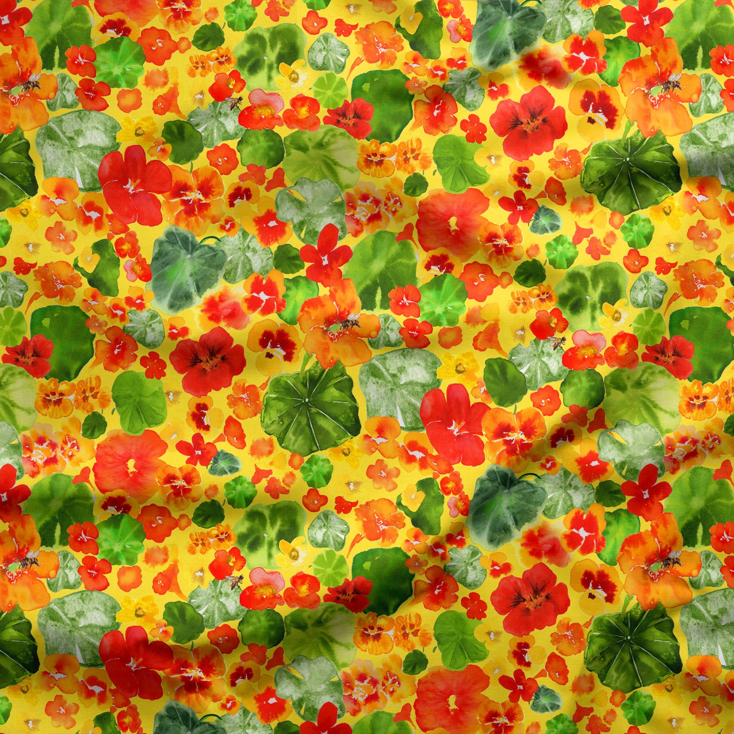 nasturtium.jpg